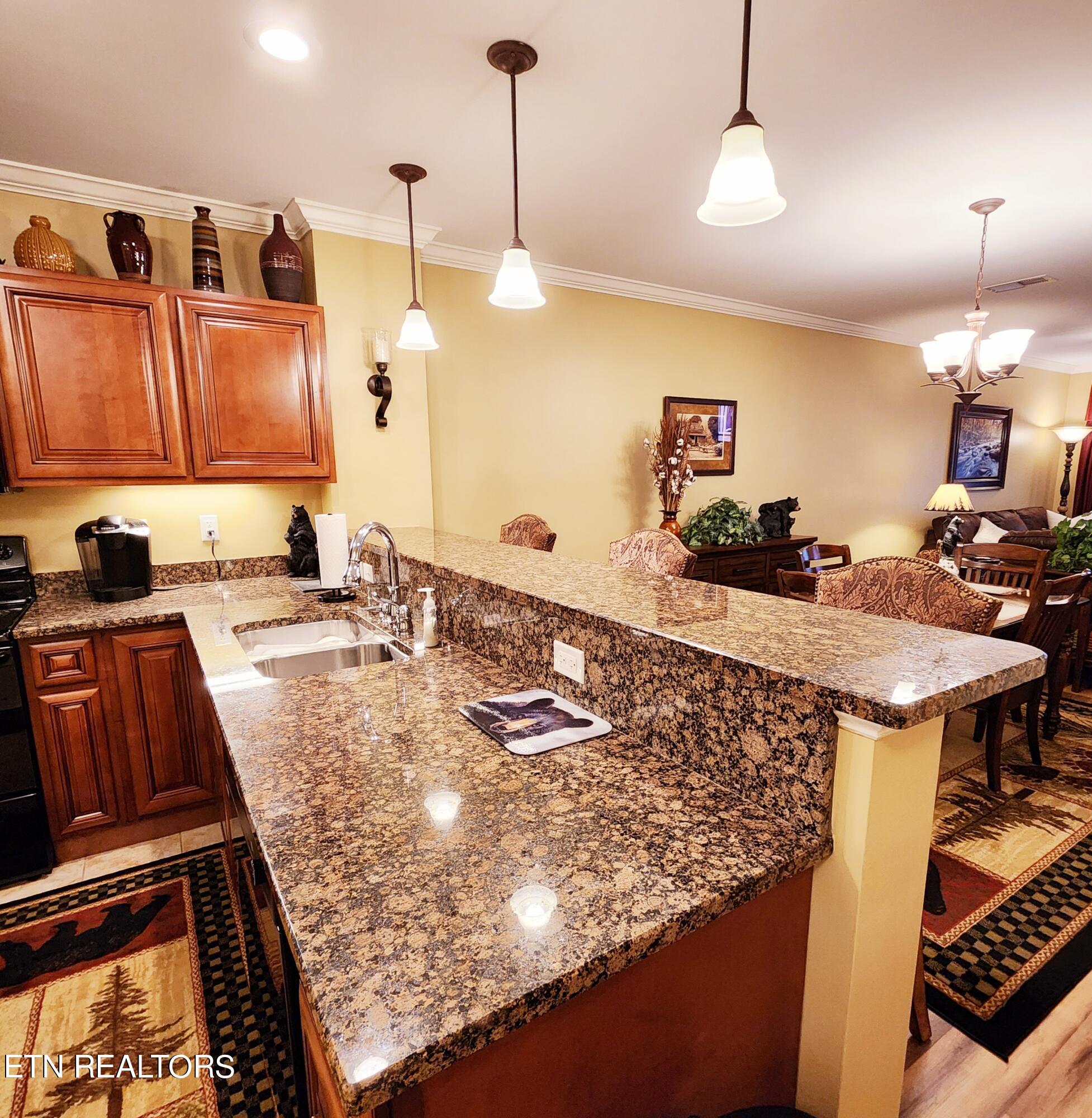 120 Bon Air Drive Gatlinburg TN 37738
