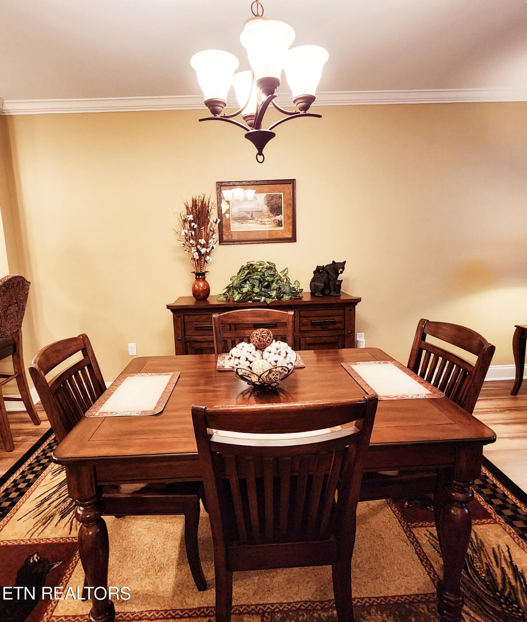 120 Bon Air Drive Gatlinburg TN 37738