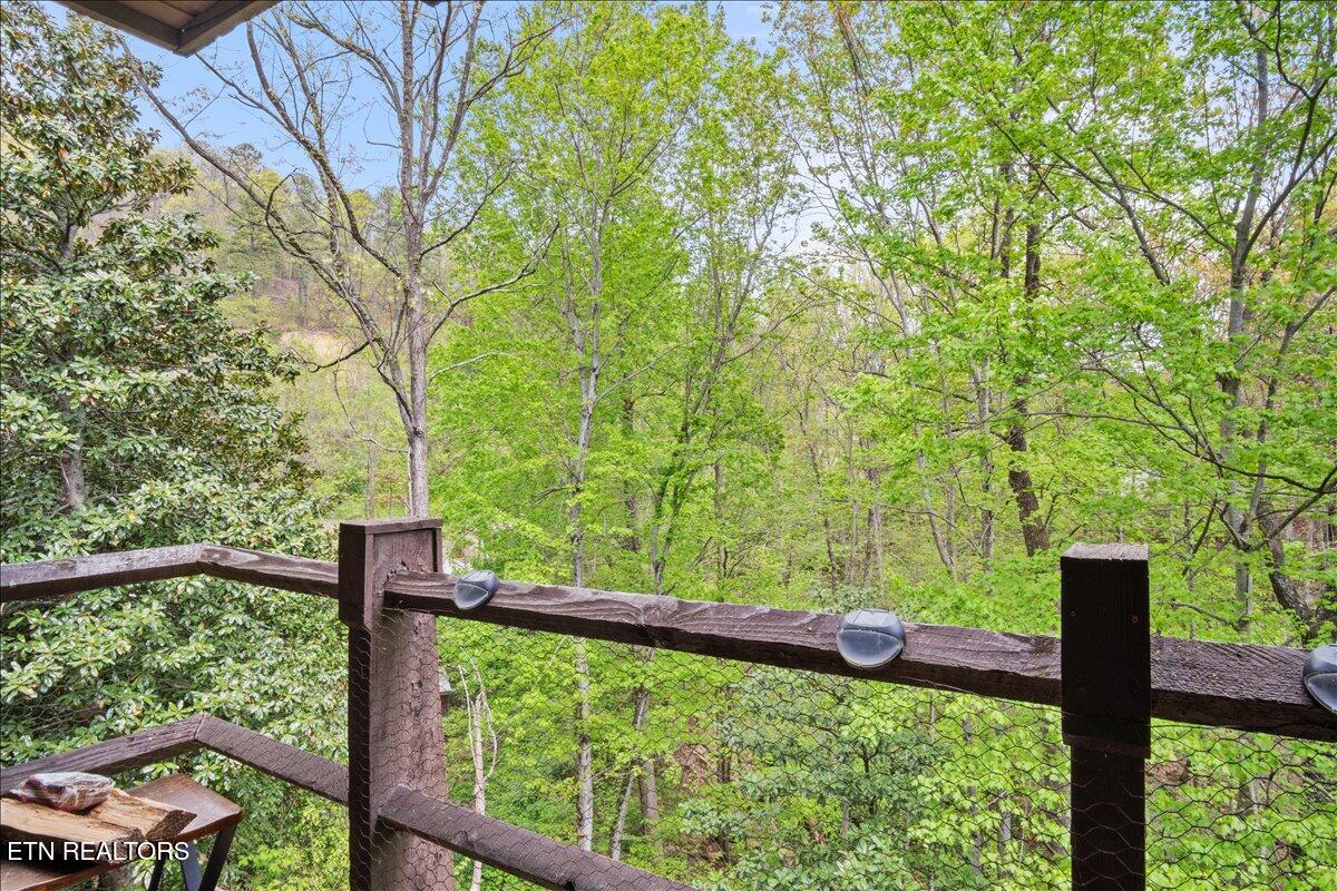 1081 Cove Road Sevierville TN 37876