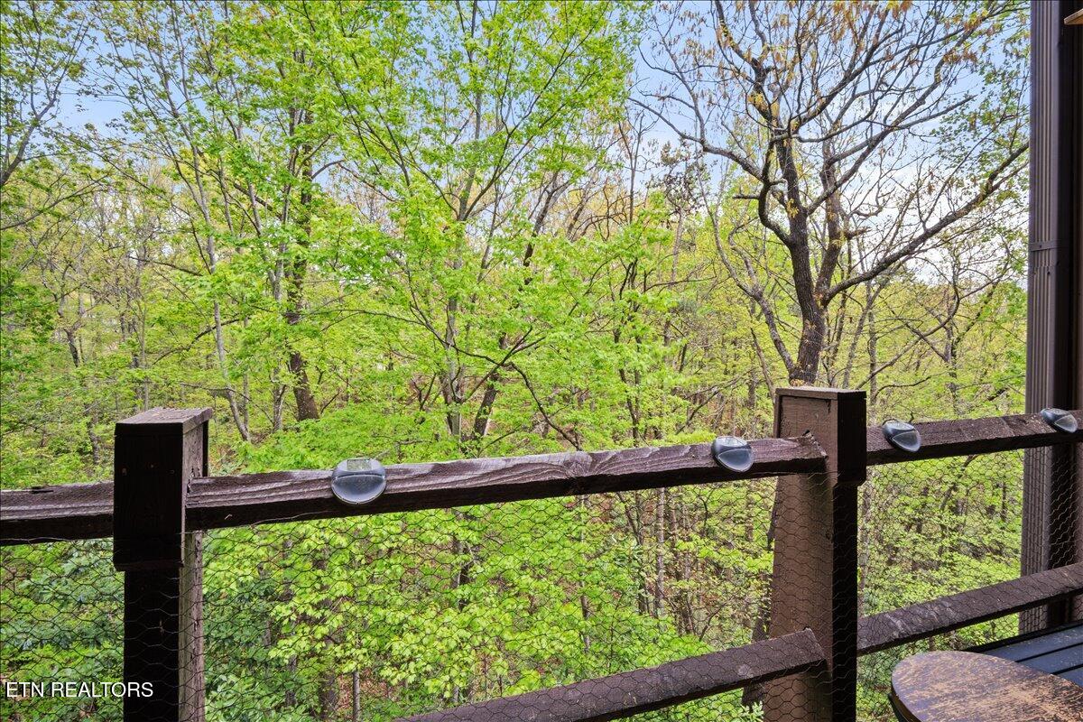 1081 Cove Road Sevierville TN 37876