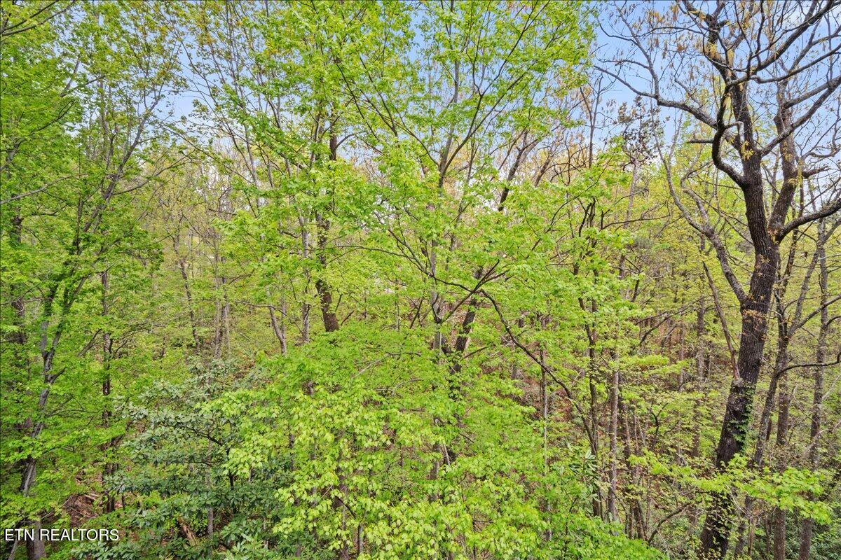 1081 Cove Road Sevierville TN 37876