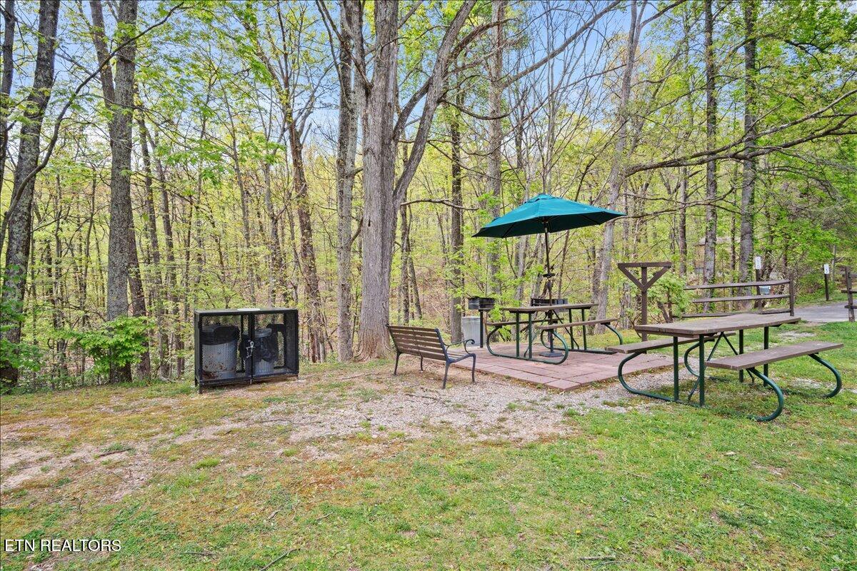 1081 Cove Road Sevierville TN 37876