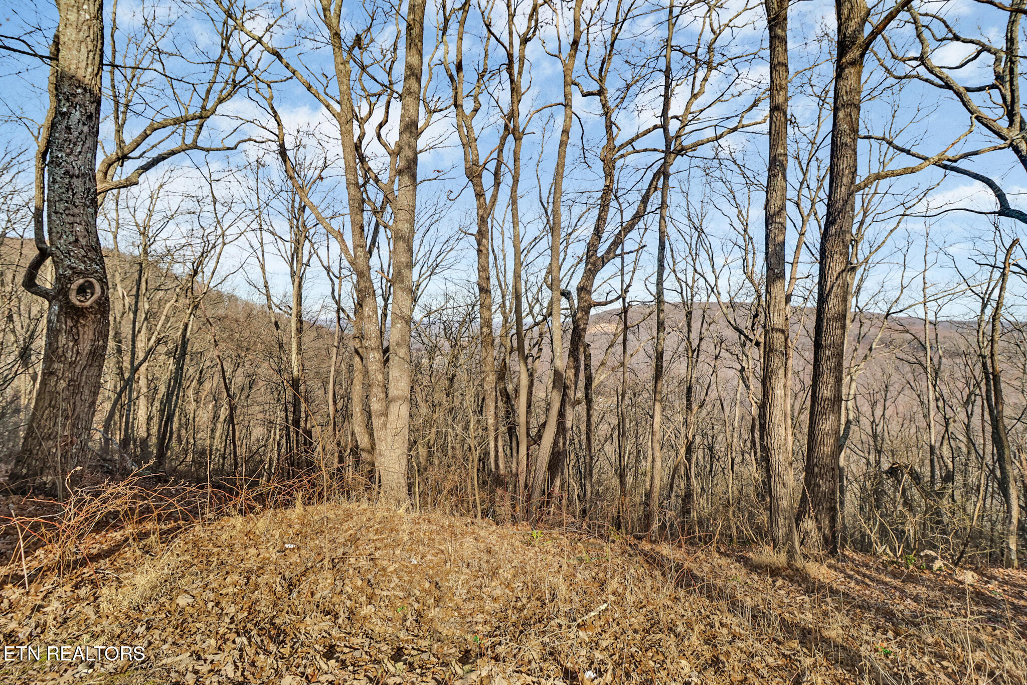 365 Moytoy Road Crab Orchard TN 37723