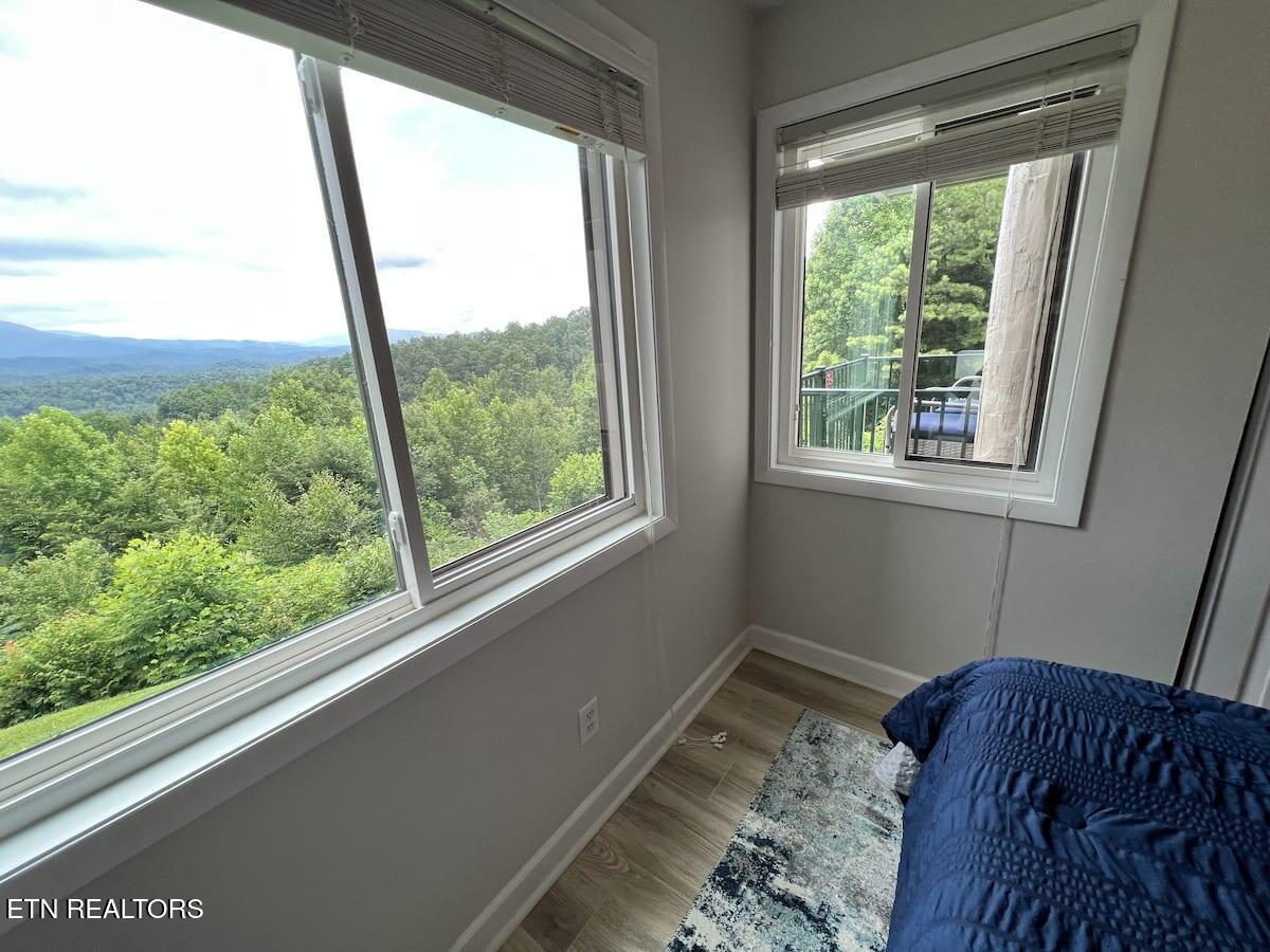3710 Weber Road Gatlinburg TN 37738