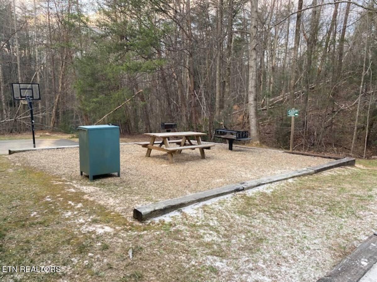 3710 Weber Road Gatlinburg TN 37738