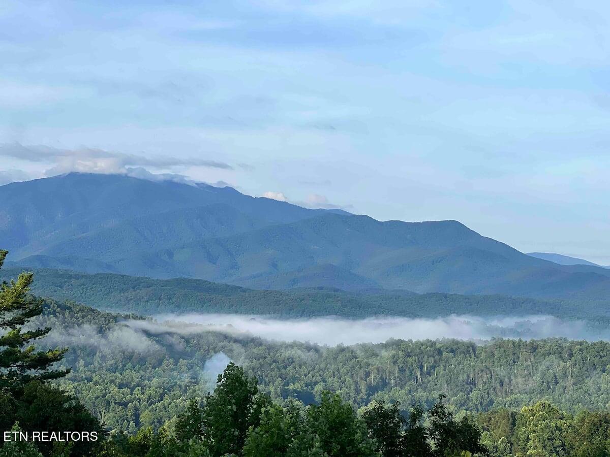 3710 Weber Road Gatlinburg TN 37738