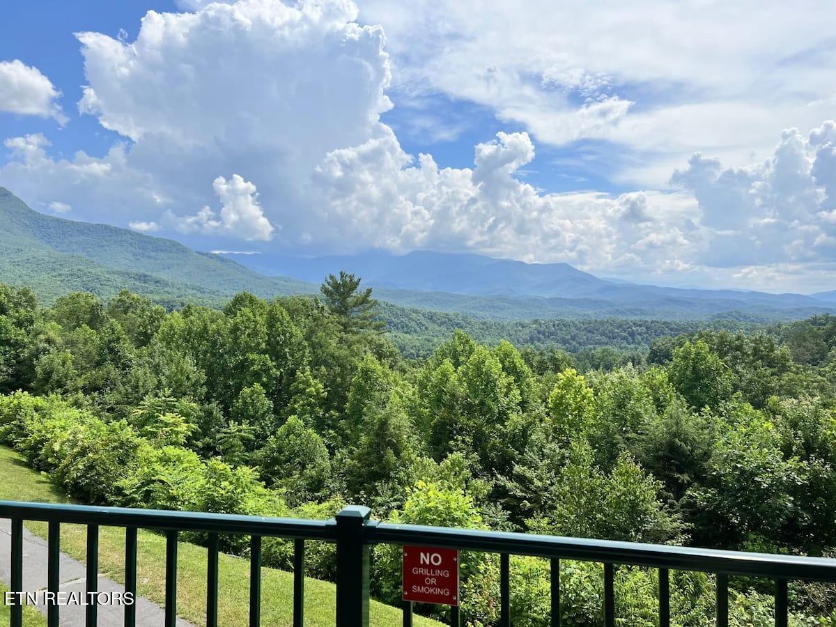 3710 Weber Road Gatlinburg TN 37738