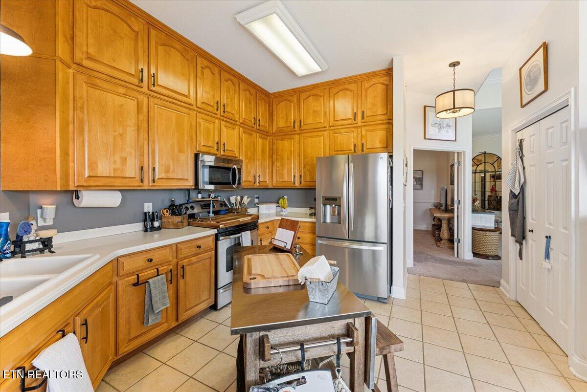 535 Rarity Bay Parkway Vonore TN 37885