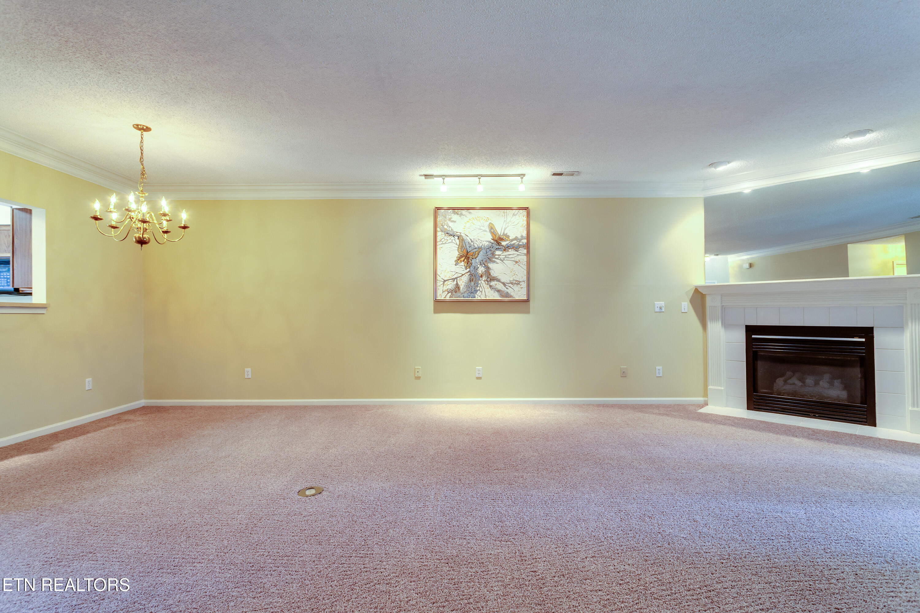 910 Millington Park Way Knoxville TN 37909