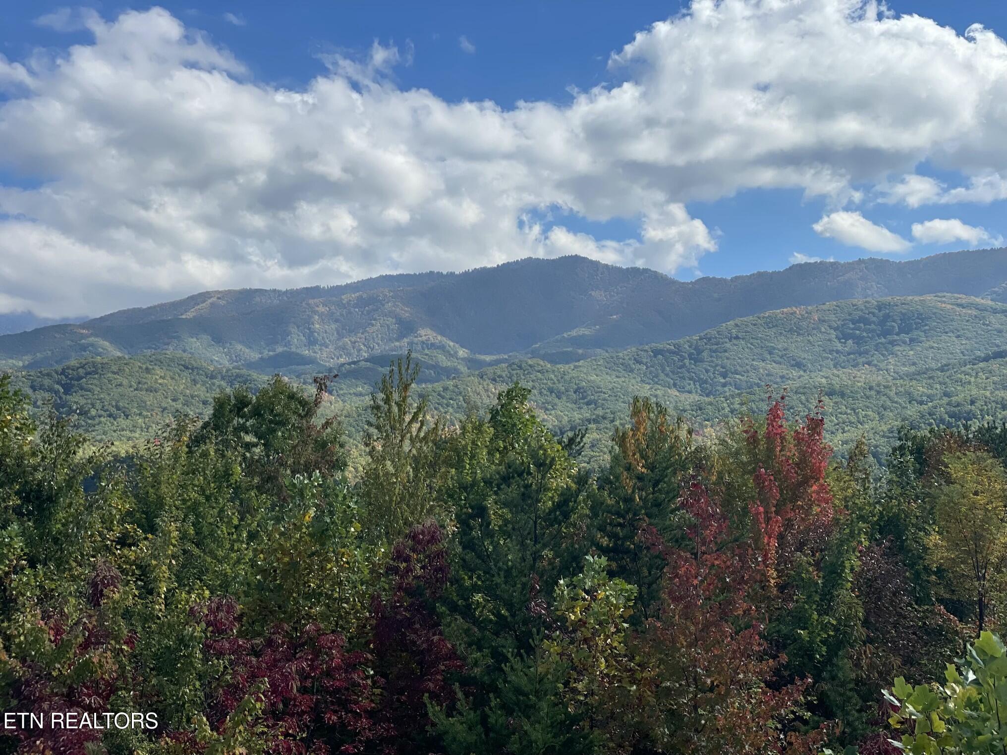 3710 Weber Road Gatlinburg TN 37738