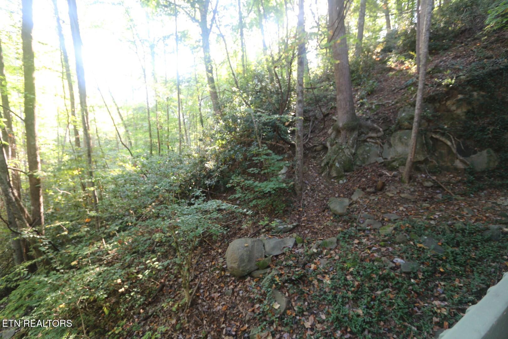 1435 Wiley Oakley Drive Gatlinburg TN 37738
