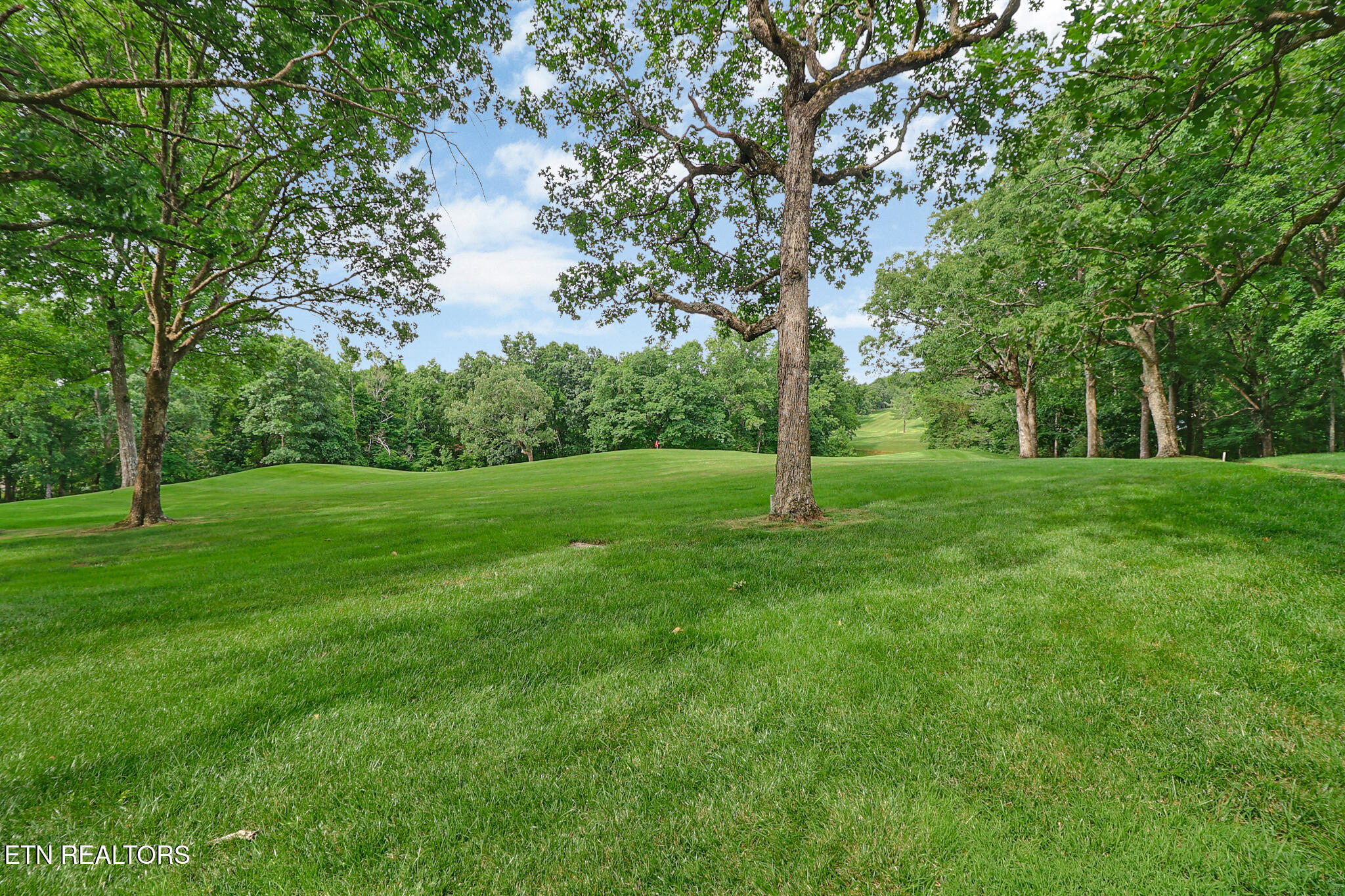 512 Druid Landing Crossville TN 38558