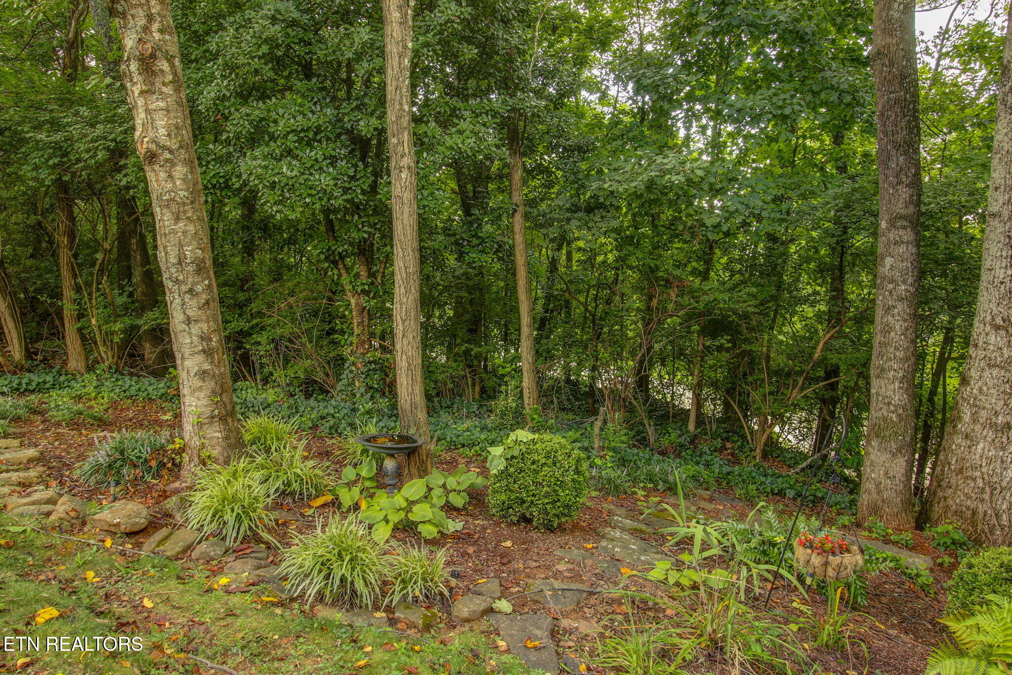 8600 Olde Colony Trail Knoxville TN 37923