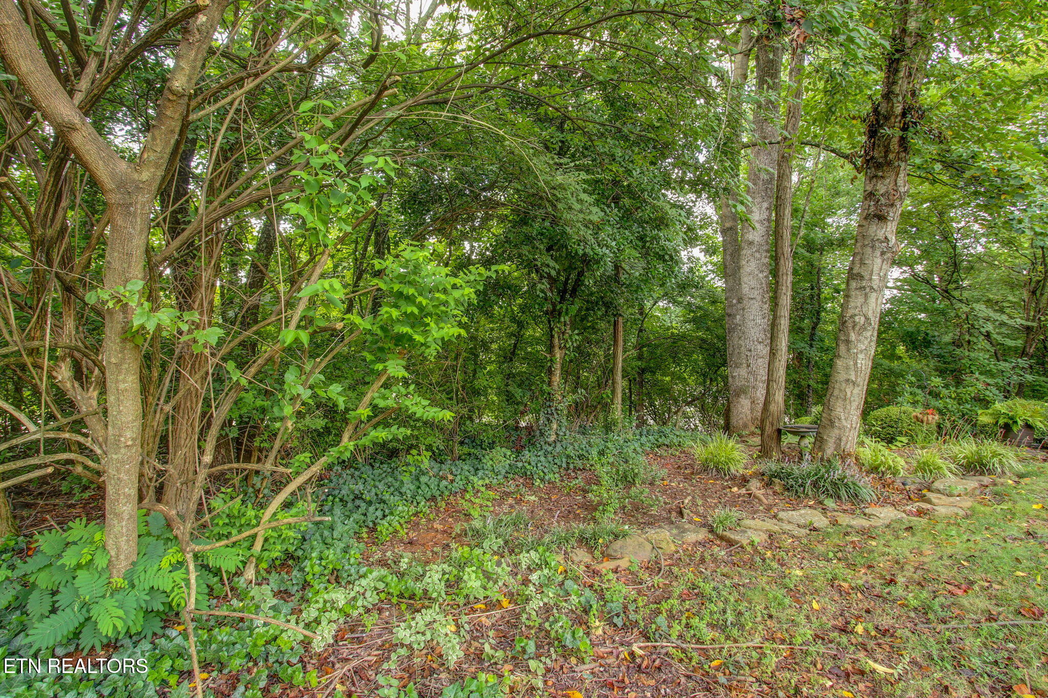 8600 Olde Colony Trail Knoxville TN 37923