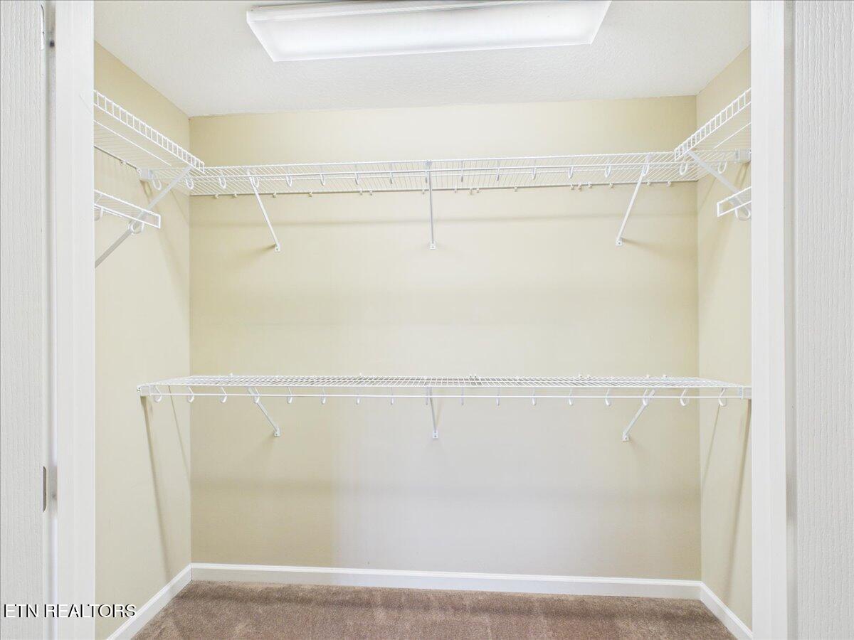 241 Stonefield Drive Harrogate TN 37752
