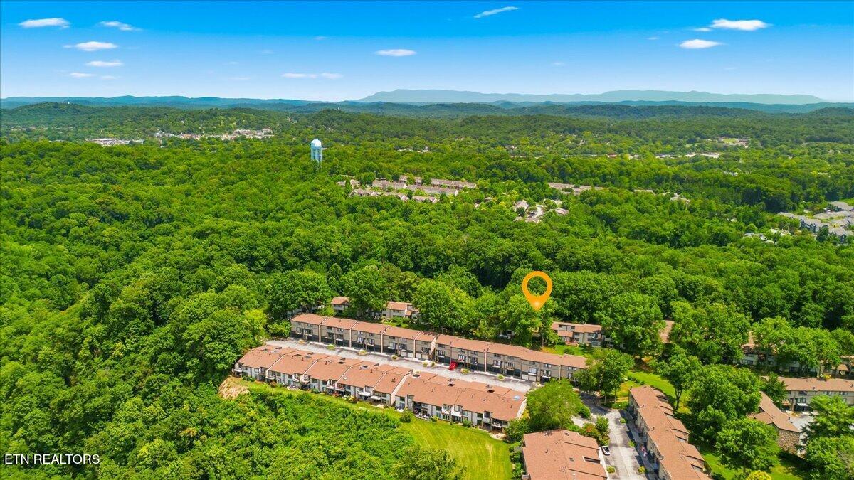 1968 Cherokee Bluff Drive Knoxville TN 37920