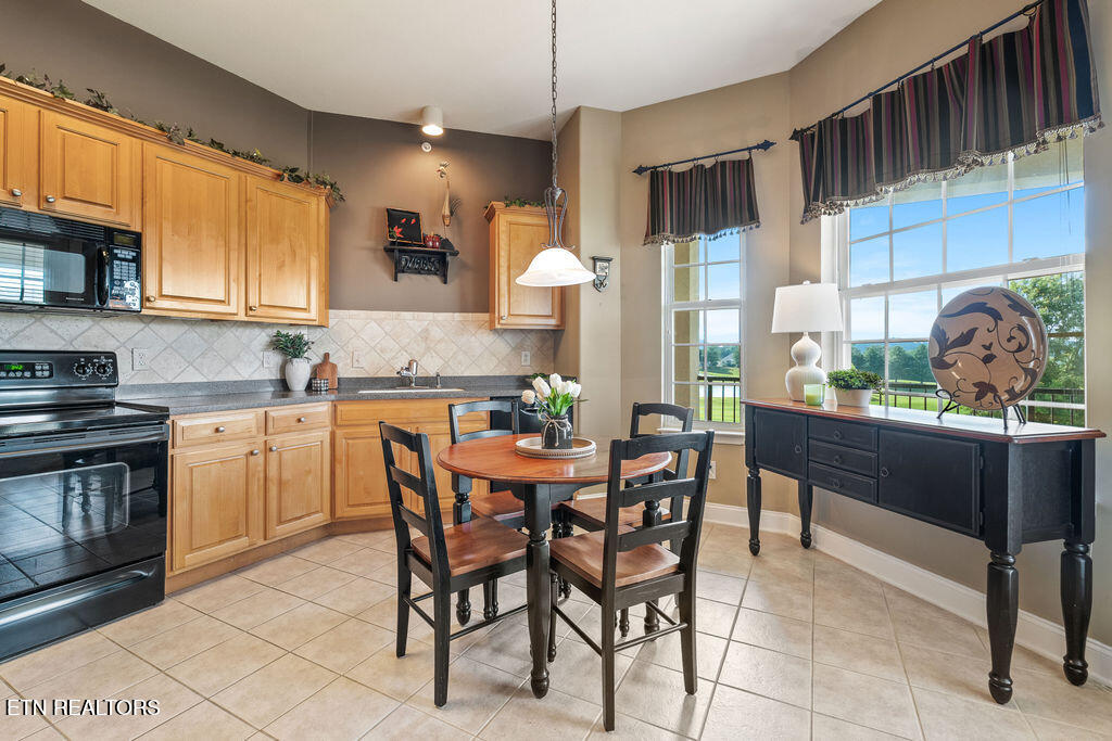 545 Rarity Bay Parkway Vonore TN 37885