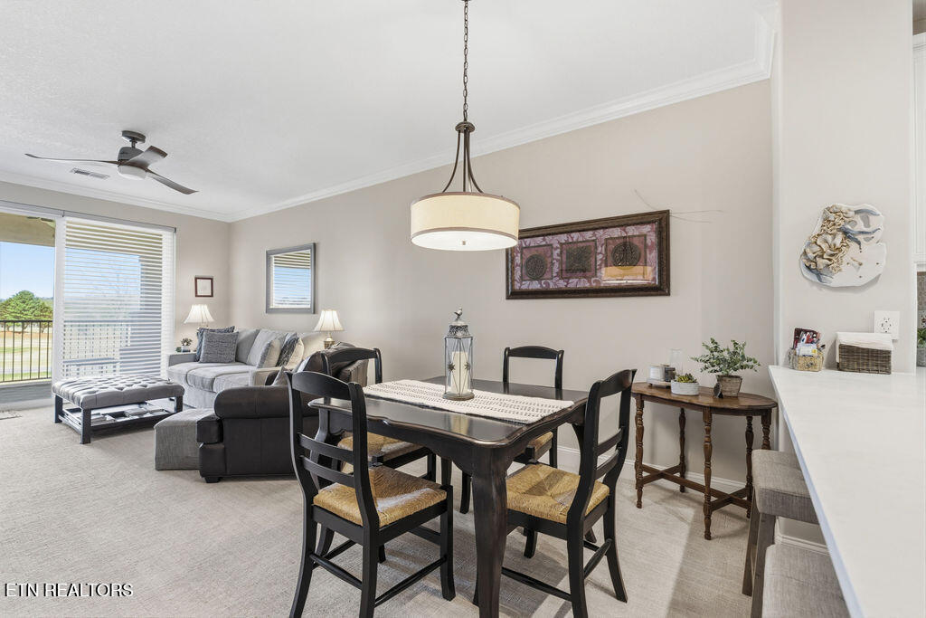 555 Rarity Bay Parkway Vonore TN 37885