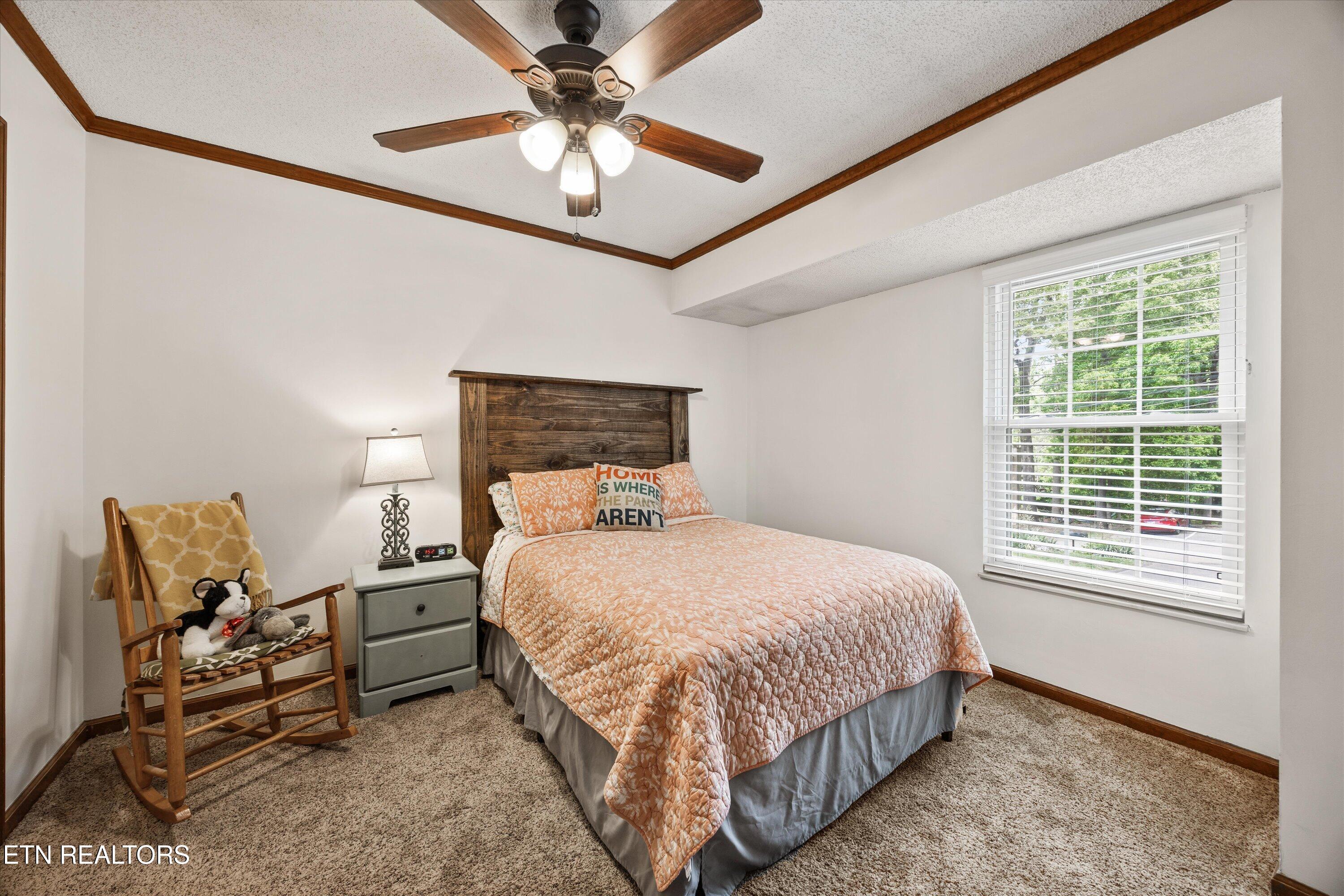 629 Idlewood Lane Knoxville TN 37923