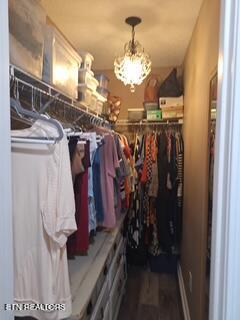 8016 Stablegate Way Powell TN 37849