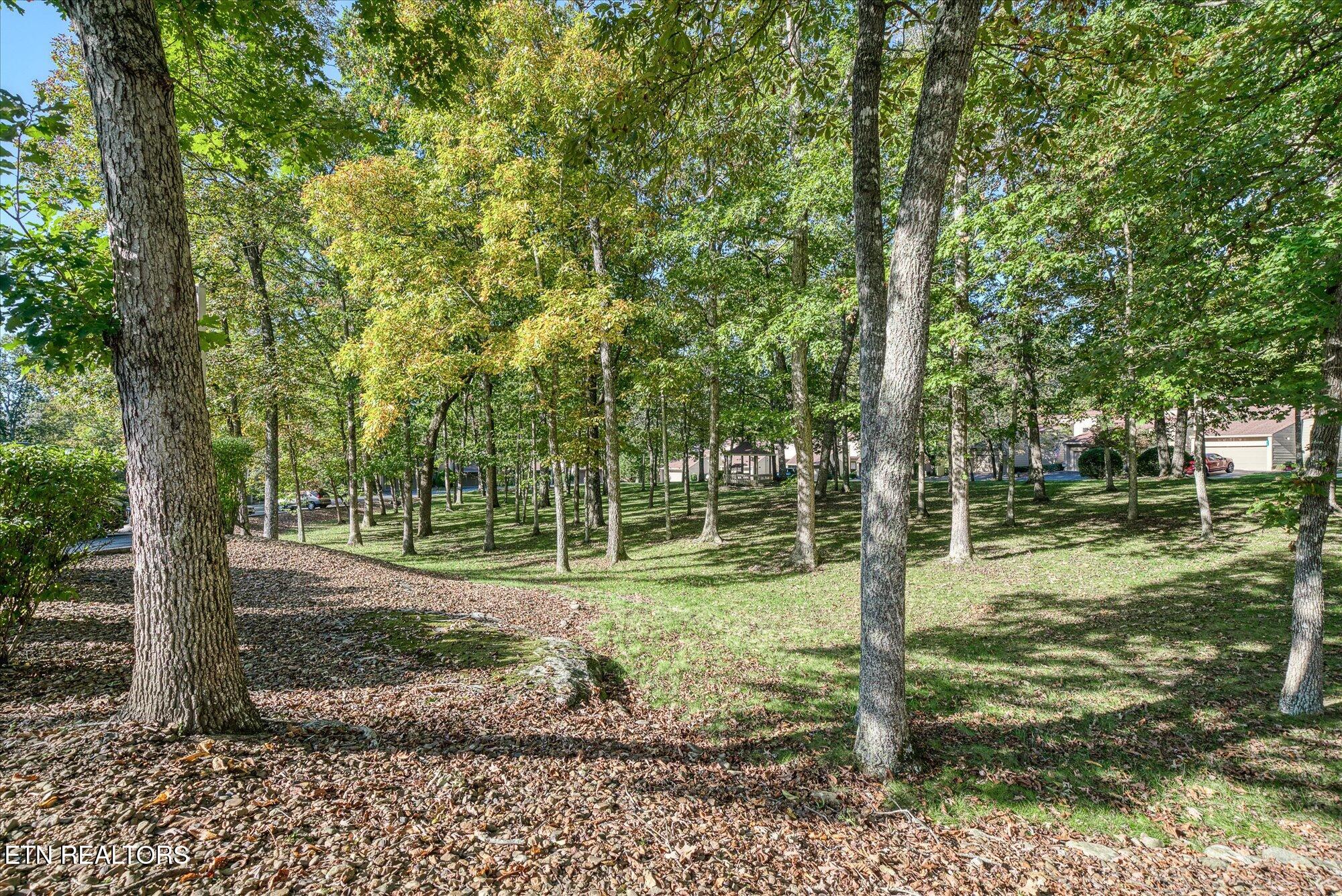 504 Druid Landing Crossville TN 38558