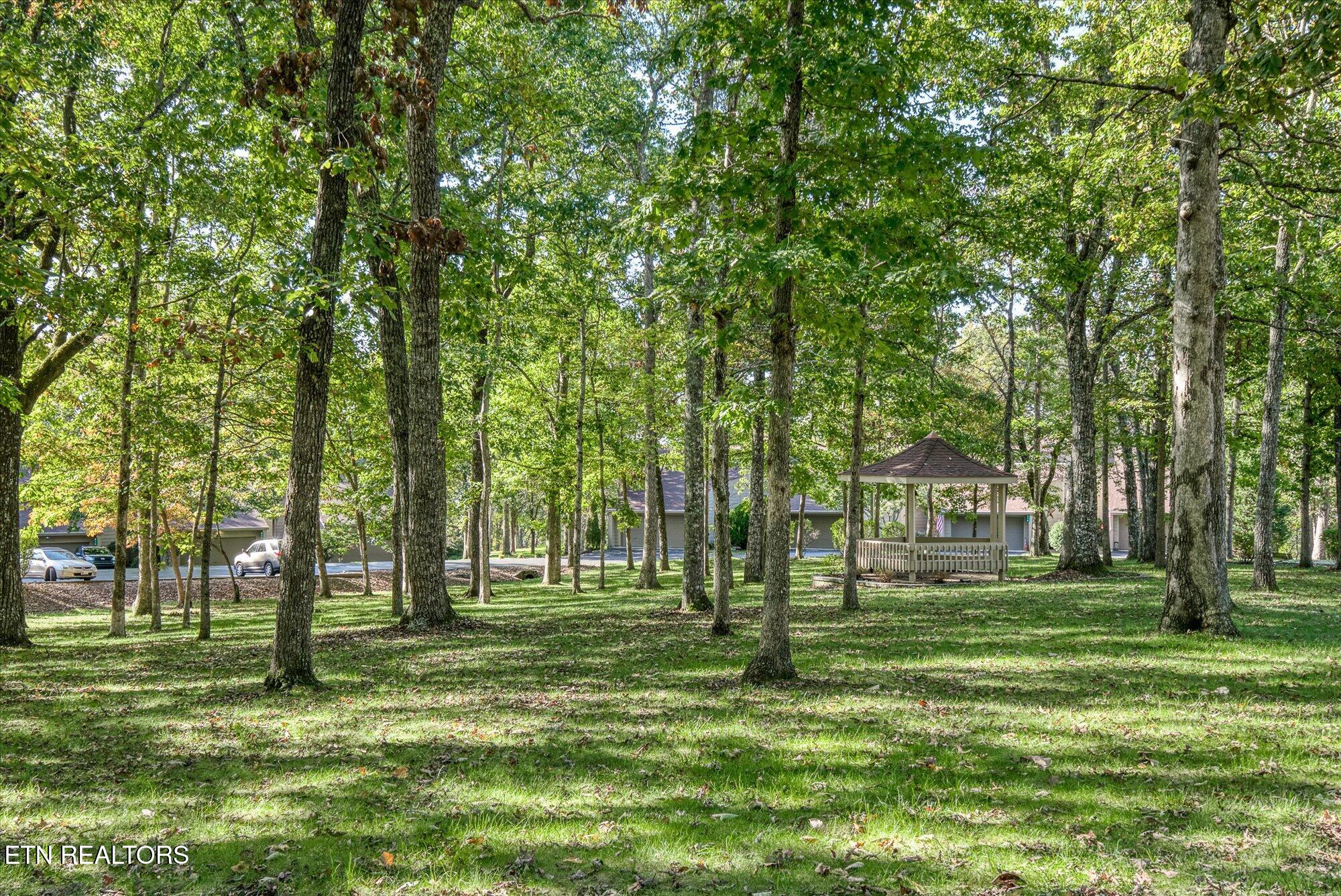 504 Druid Landing Crossville TN 38558