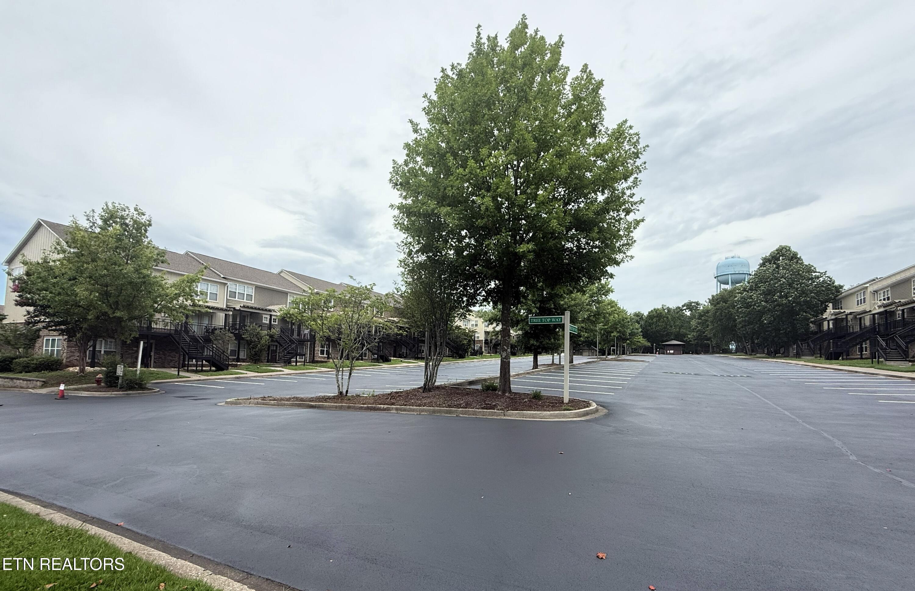 1105 Tree Top Way Knoxville TN 37920