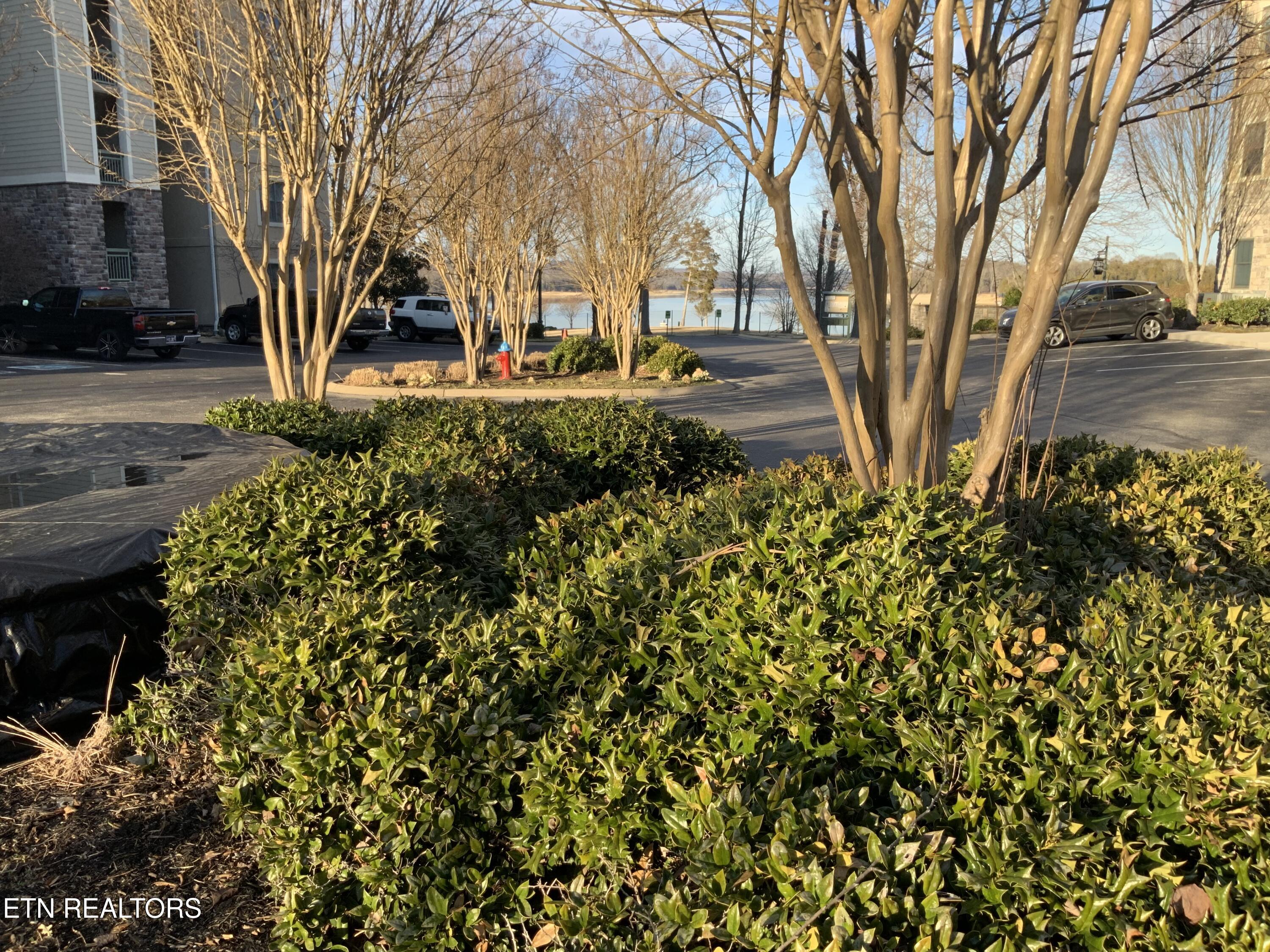 408 Waterside Circle Andersonville TN 37705