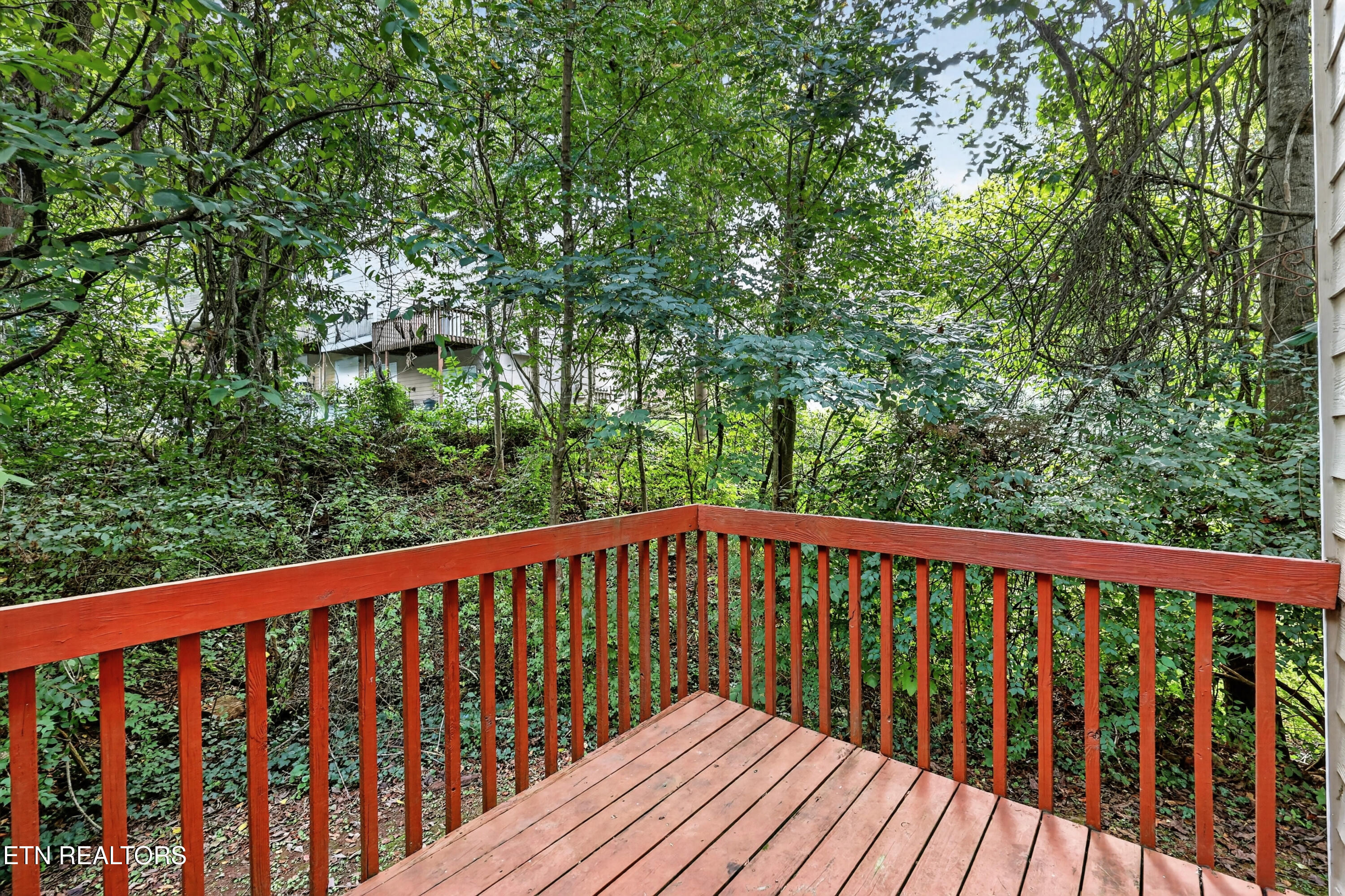 601 Shadywood Lane Knoxville TN 37923