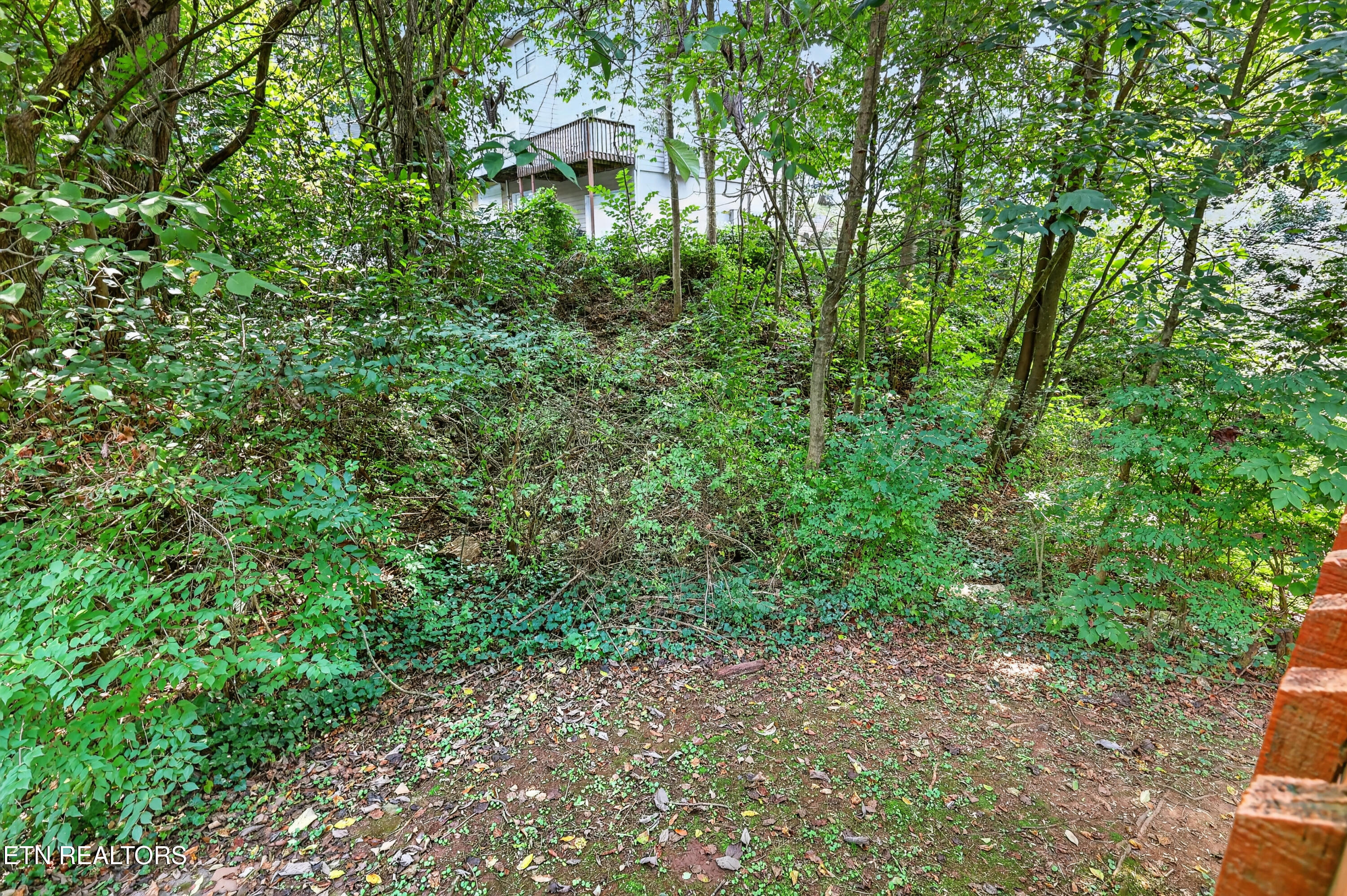 601 Shadywood Lane Knoxville TN 37923