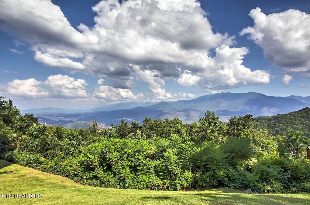 1260 Ski View Gatlinburg TN 37738