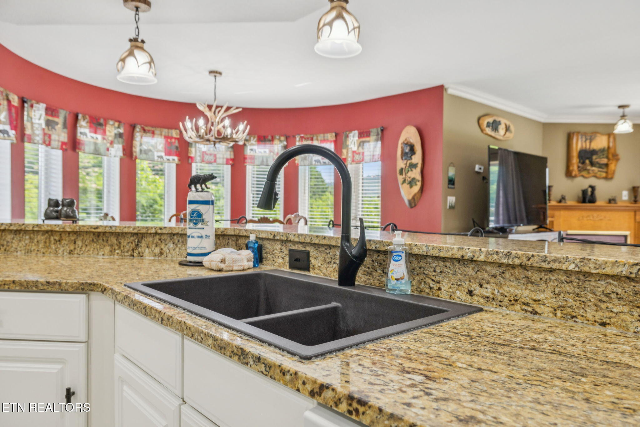 503 Dollywood Lane Pigeon Forge TN 37863