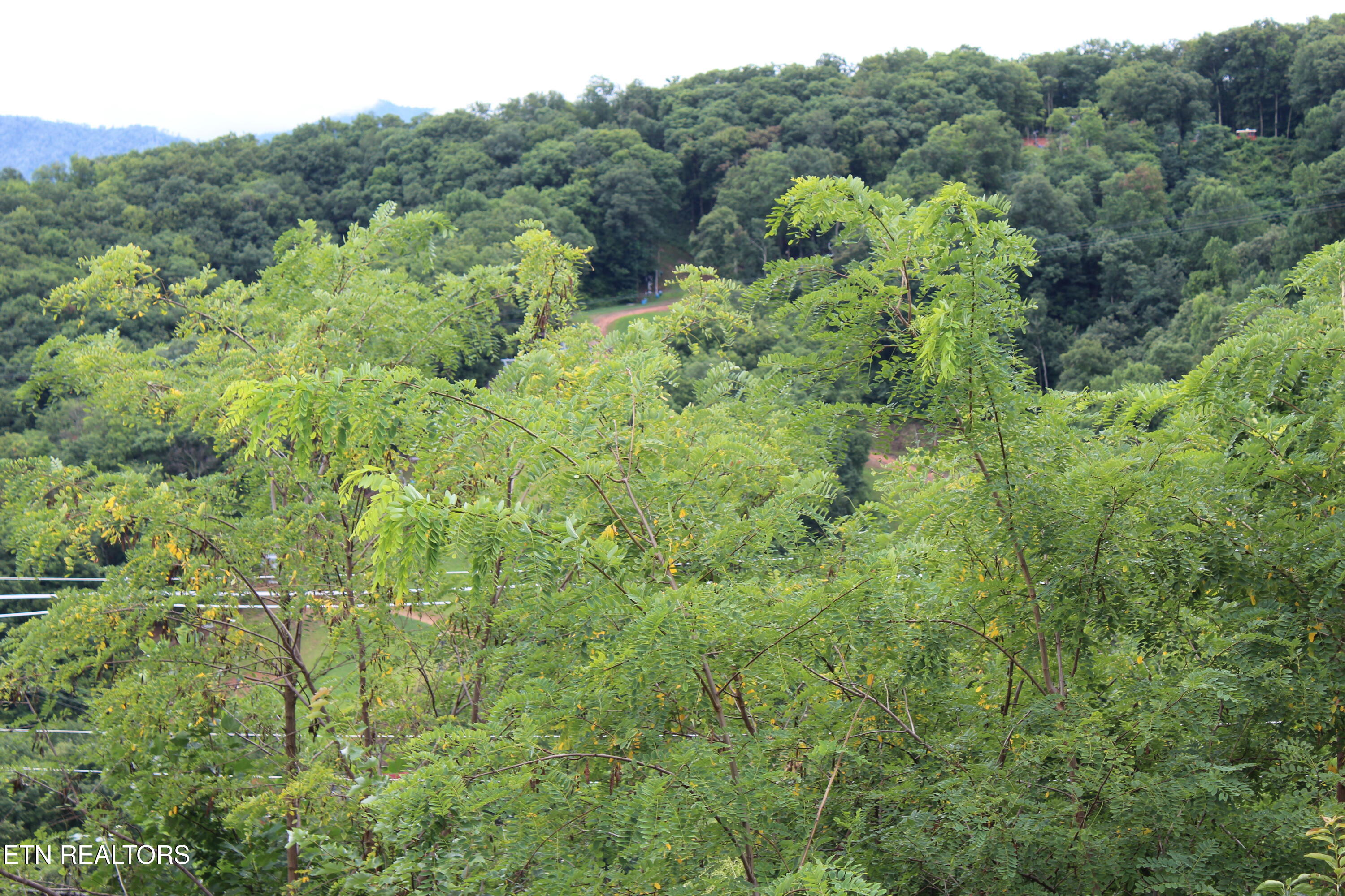 1380 Ski View Drive Gatlinburg TN 37738