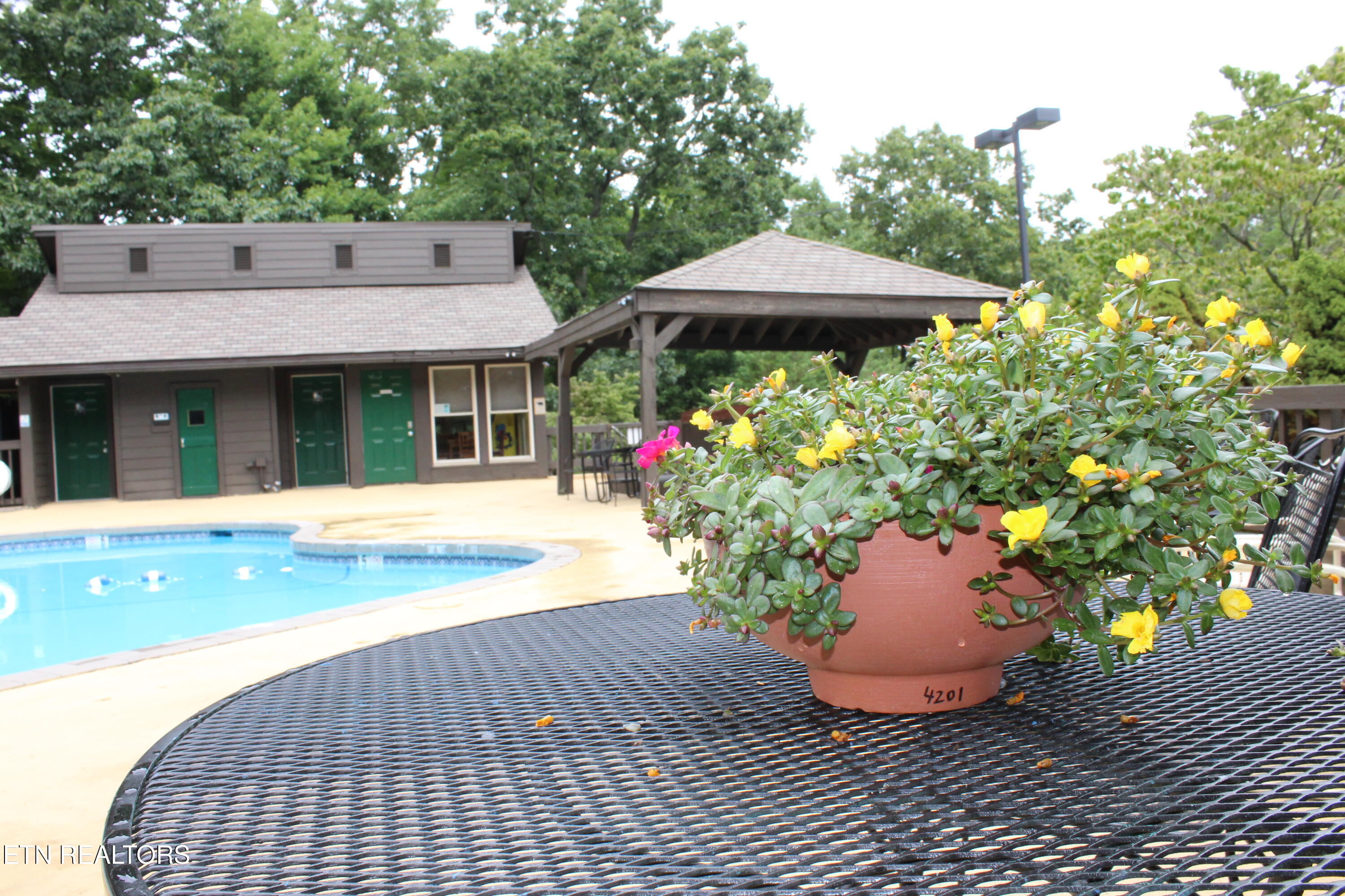 1380 Ski View Drive Gatlinburg TN 37738