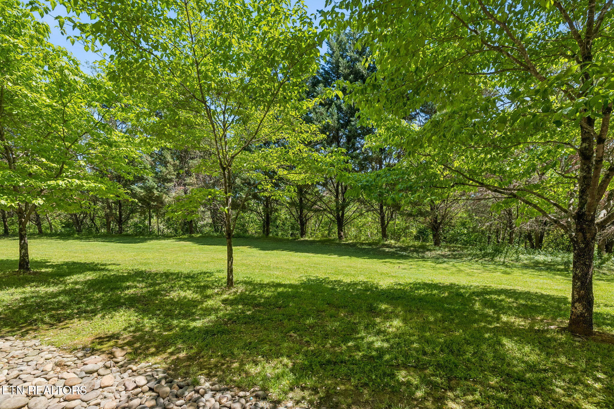 124 Plaza Drive Pigeon Forge TN 37863