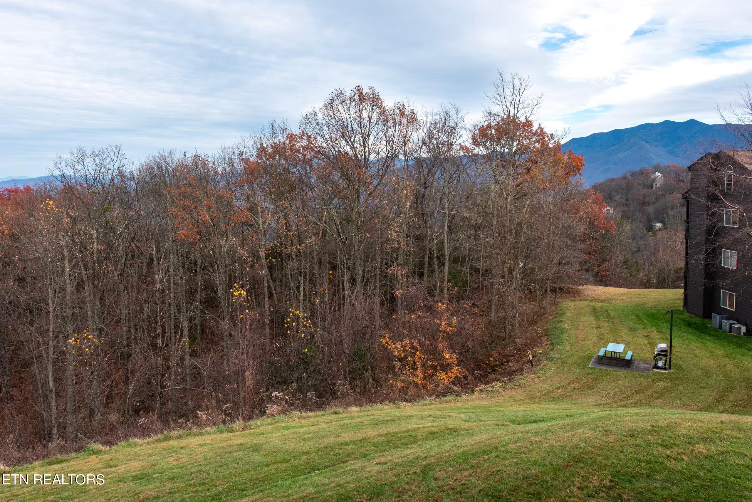 1380 Ski View Drive Gatlinburg TN 37738
