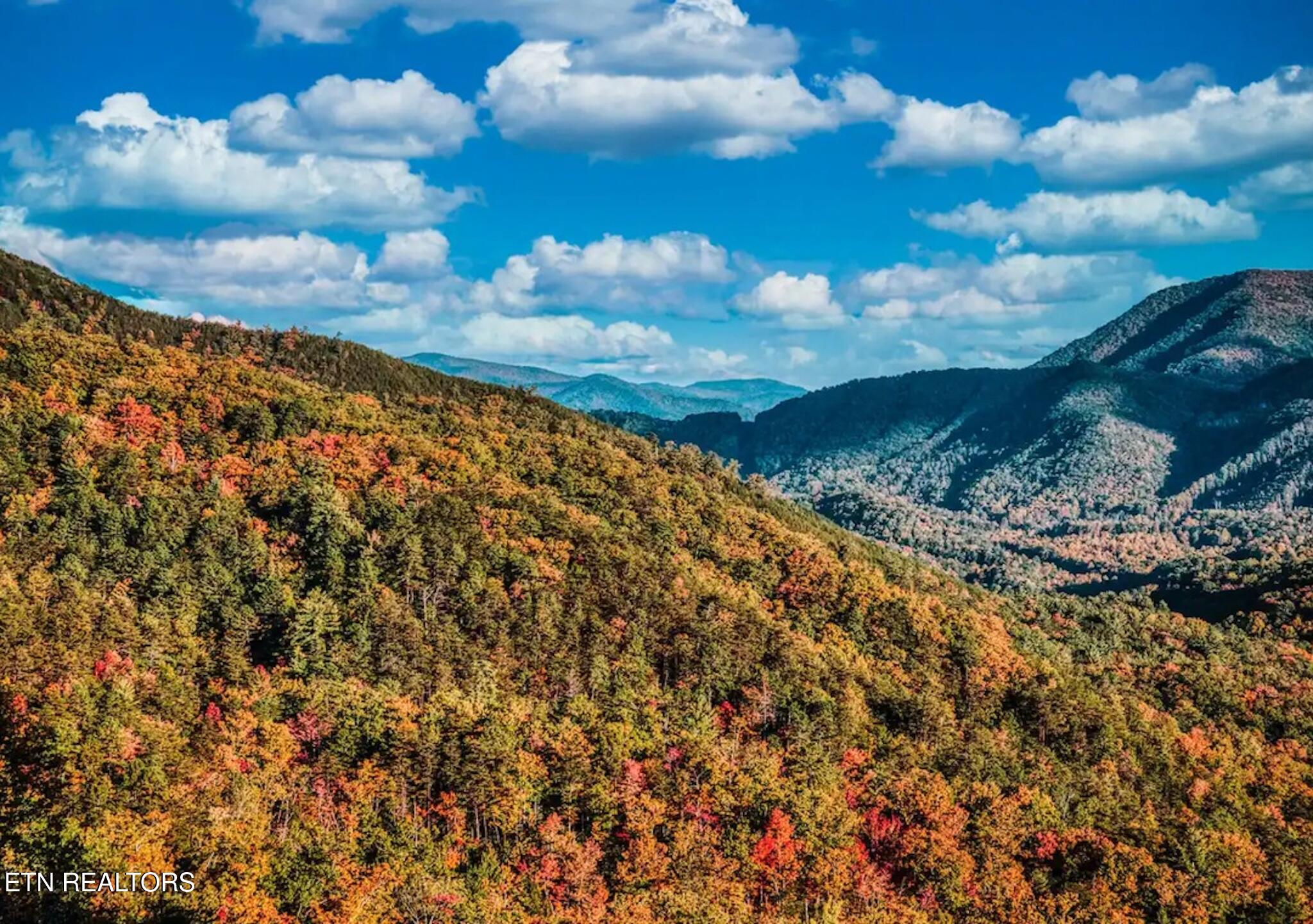 3710 Weber Road Gatlinburg TN 37738