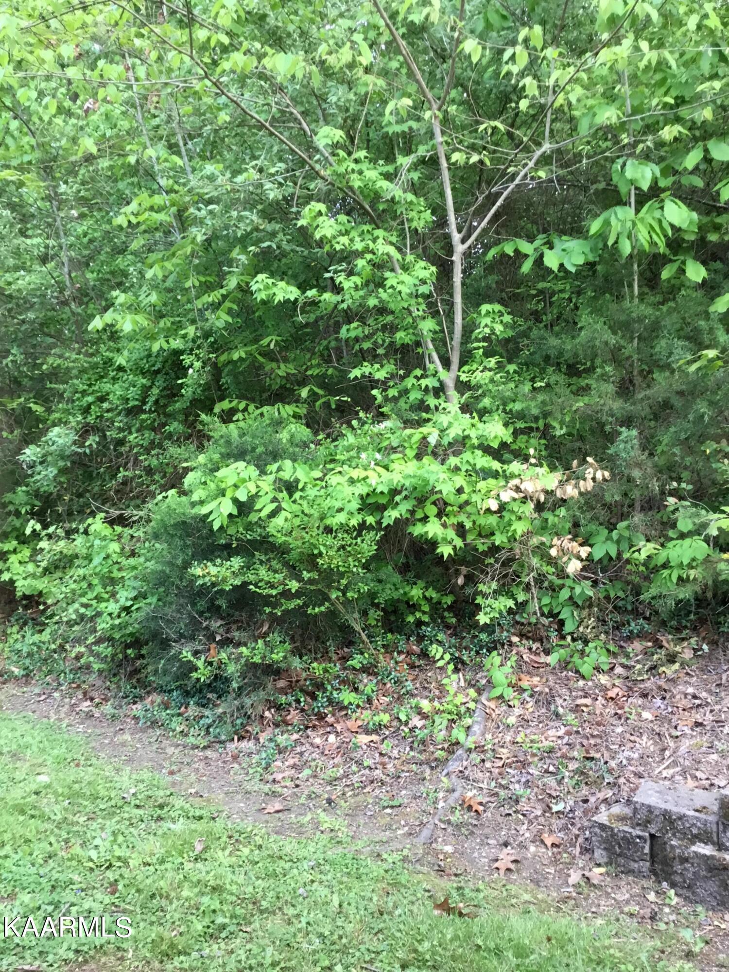 309 Meriwether Way Pigeon Forge TN 37863