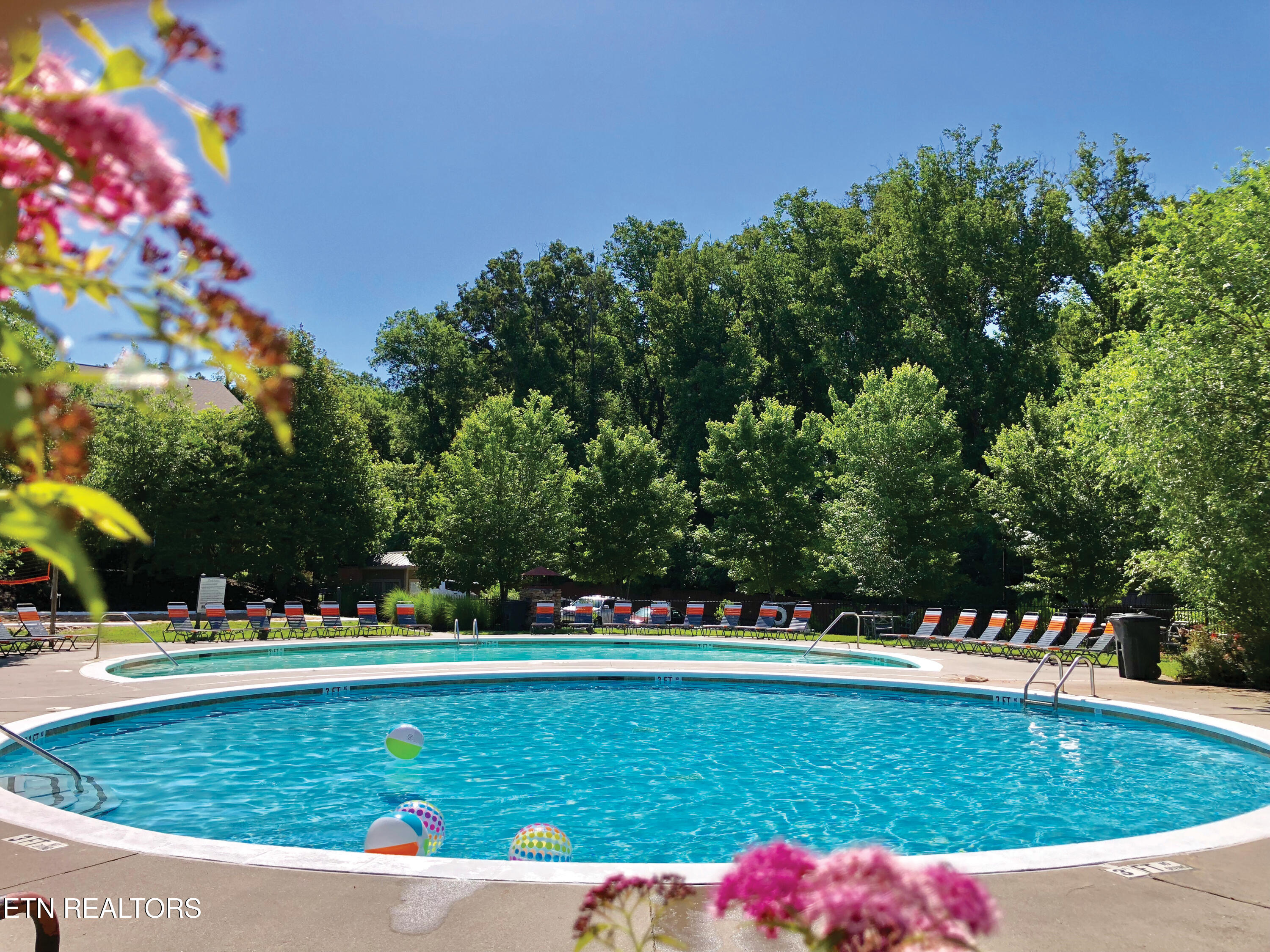3930 Cherokee Woods Way #101 Knoxville TN 37920