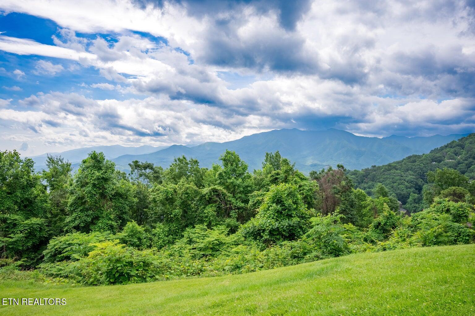1260 Ski View Drive Gatlinburg TN 37738