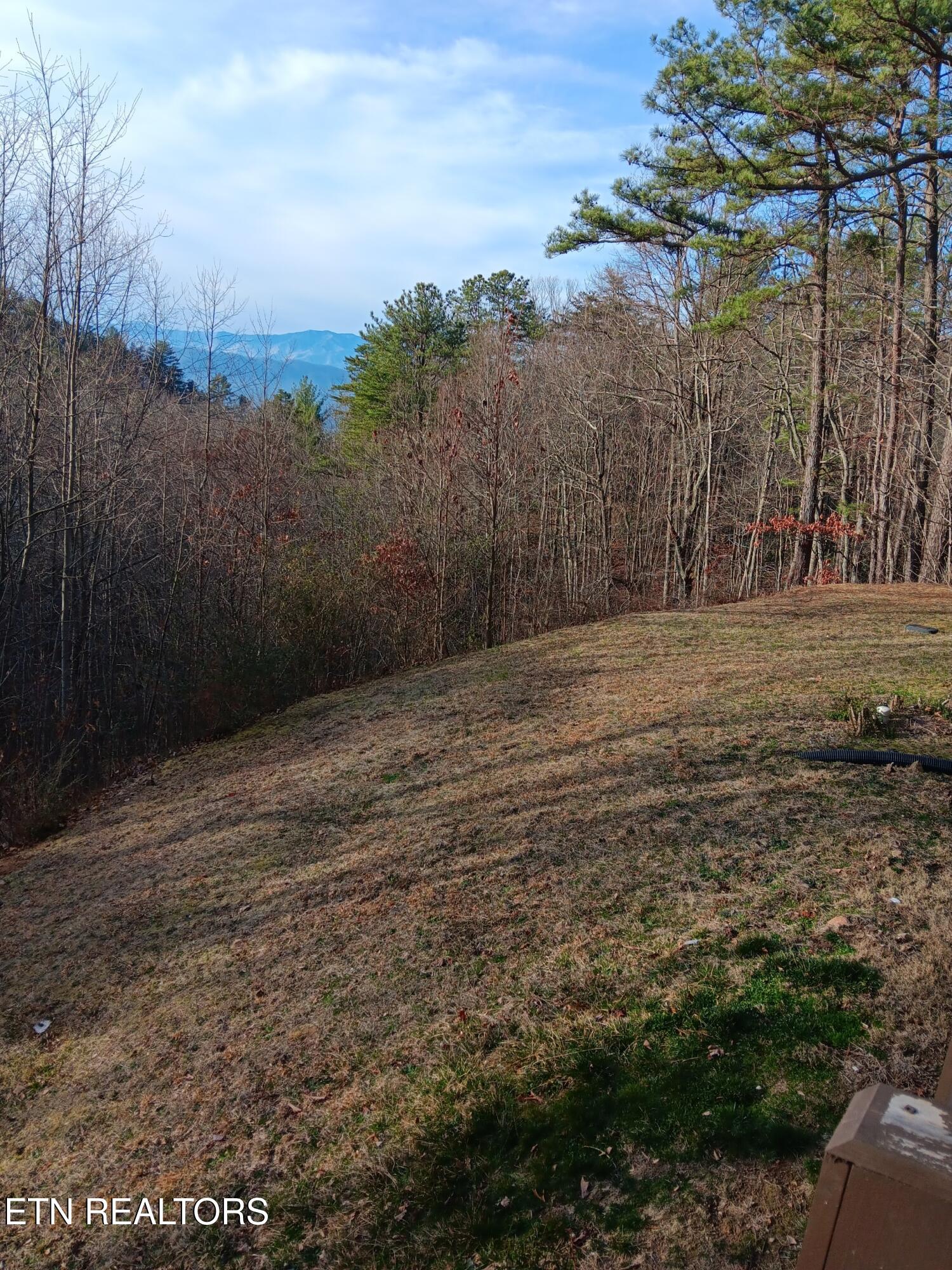 1081 Cove Road Sevierville TN 37876