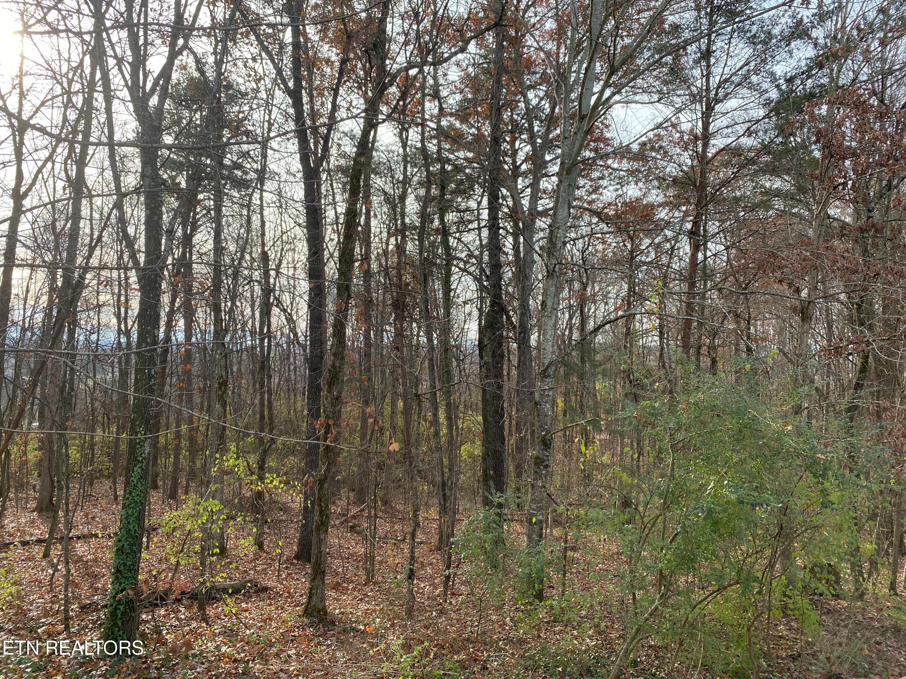 1002 Fallkirk Way Knoxville TN 37923