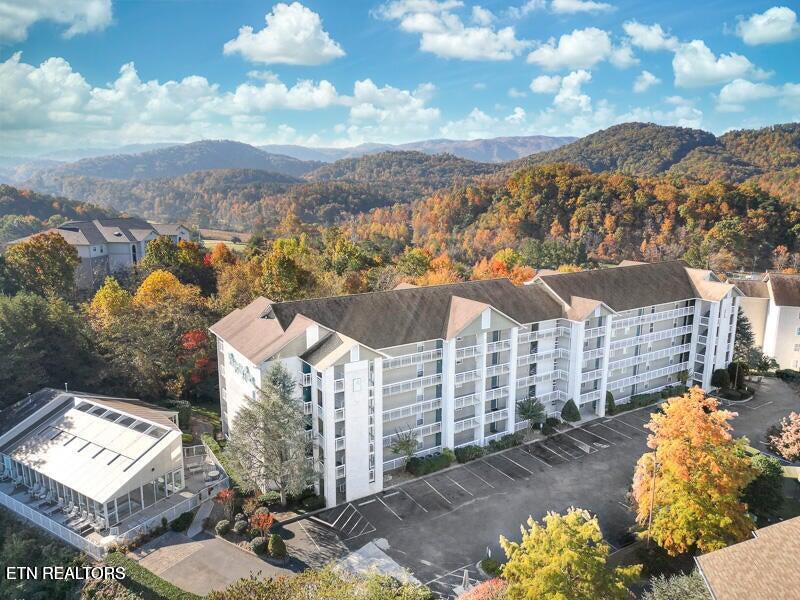 205 Ogle Drive Pigeon Forge TN 37863