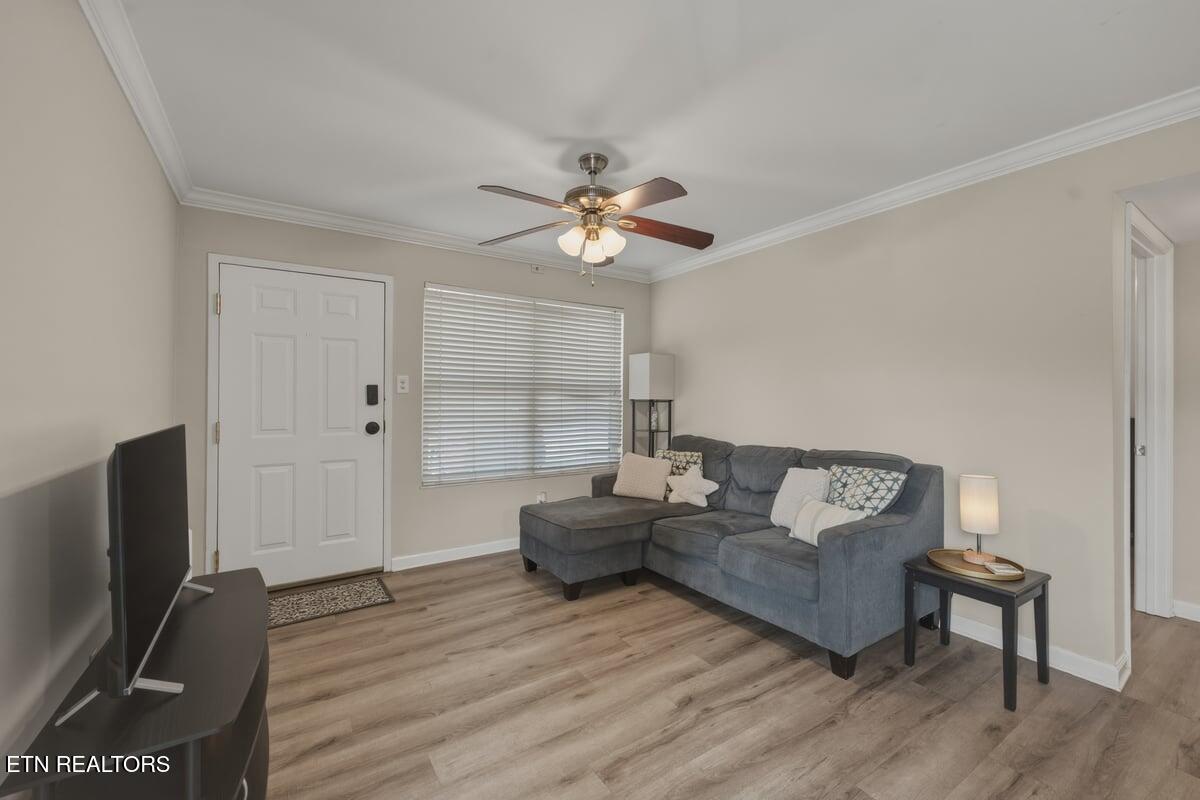 1201 Laurel Avenue Knoxville TN 37916