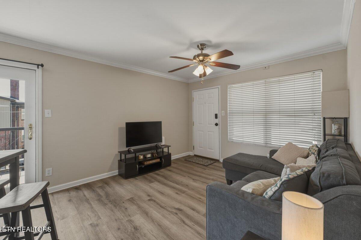 1201 Laurel Avenue Knoxville TN 37916