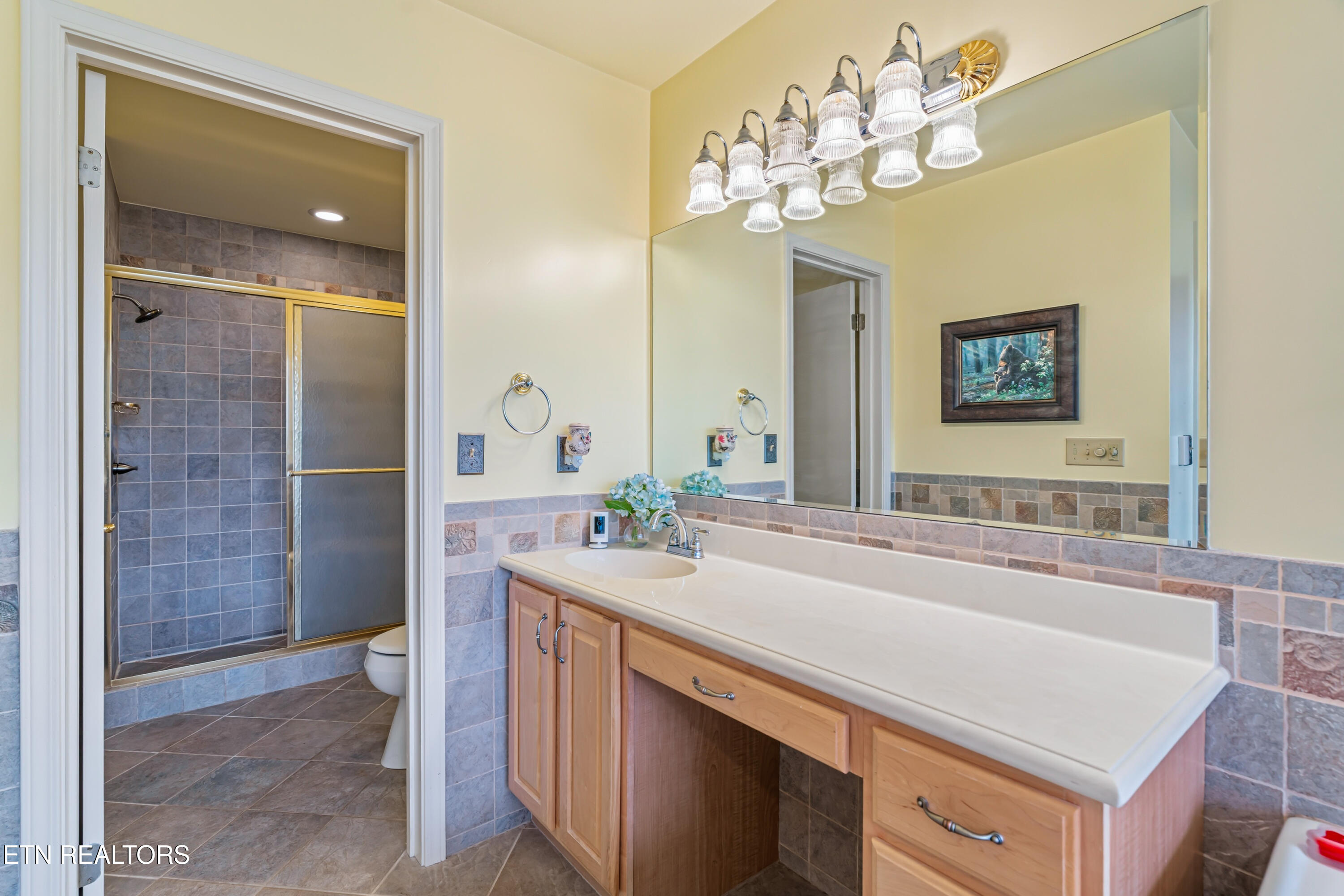 1130 Ski View Drive Gatlinburg TN 37738