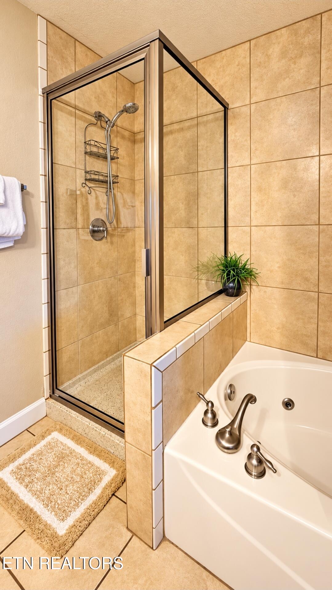 124 Plaza Drive Pigeon Forge TN 37863