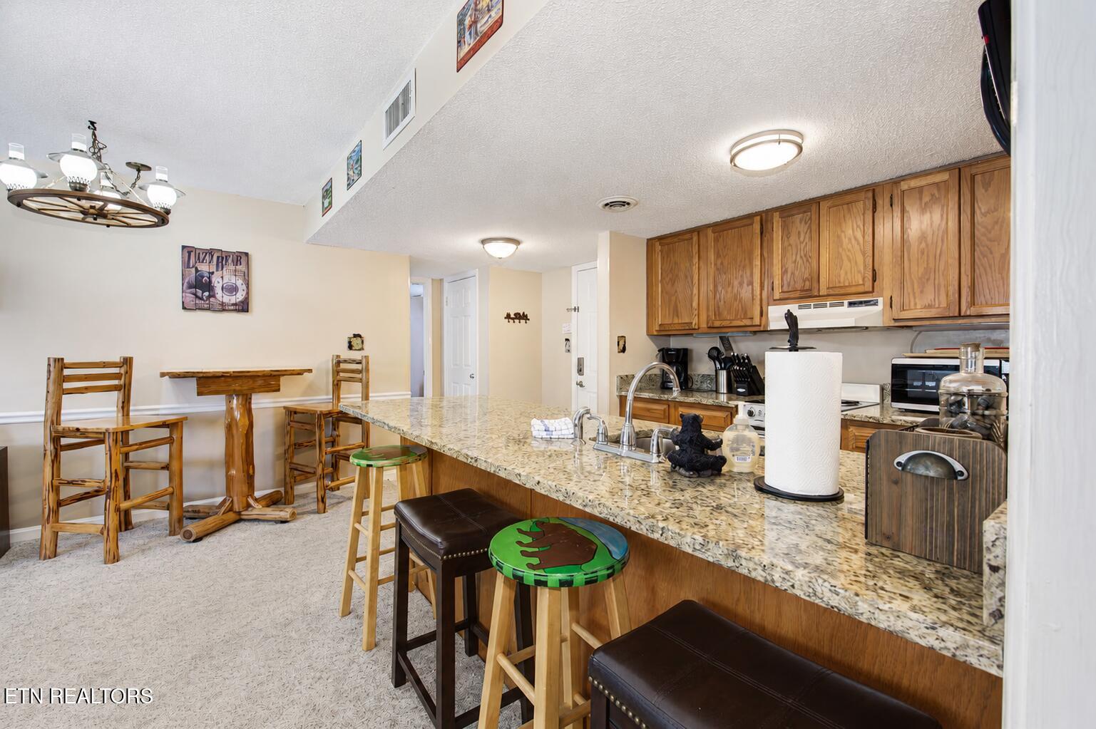 1380 Ski View Drive Gatlinburg TN 37738