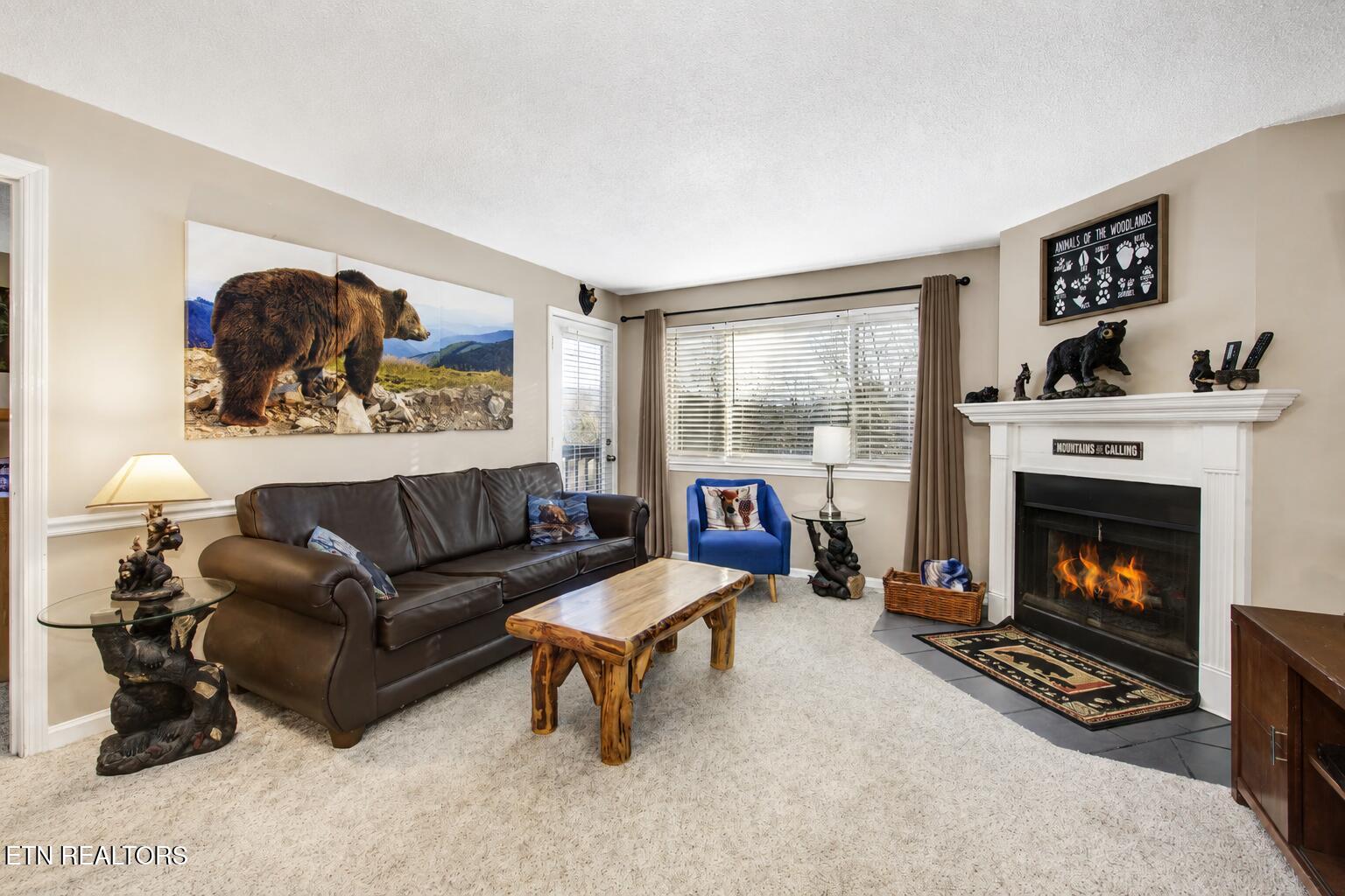 1380 Ski View Drive Gatlinburg TN 37738