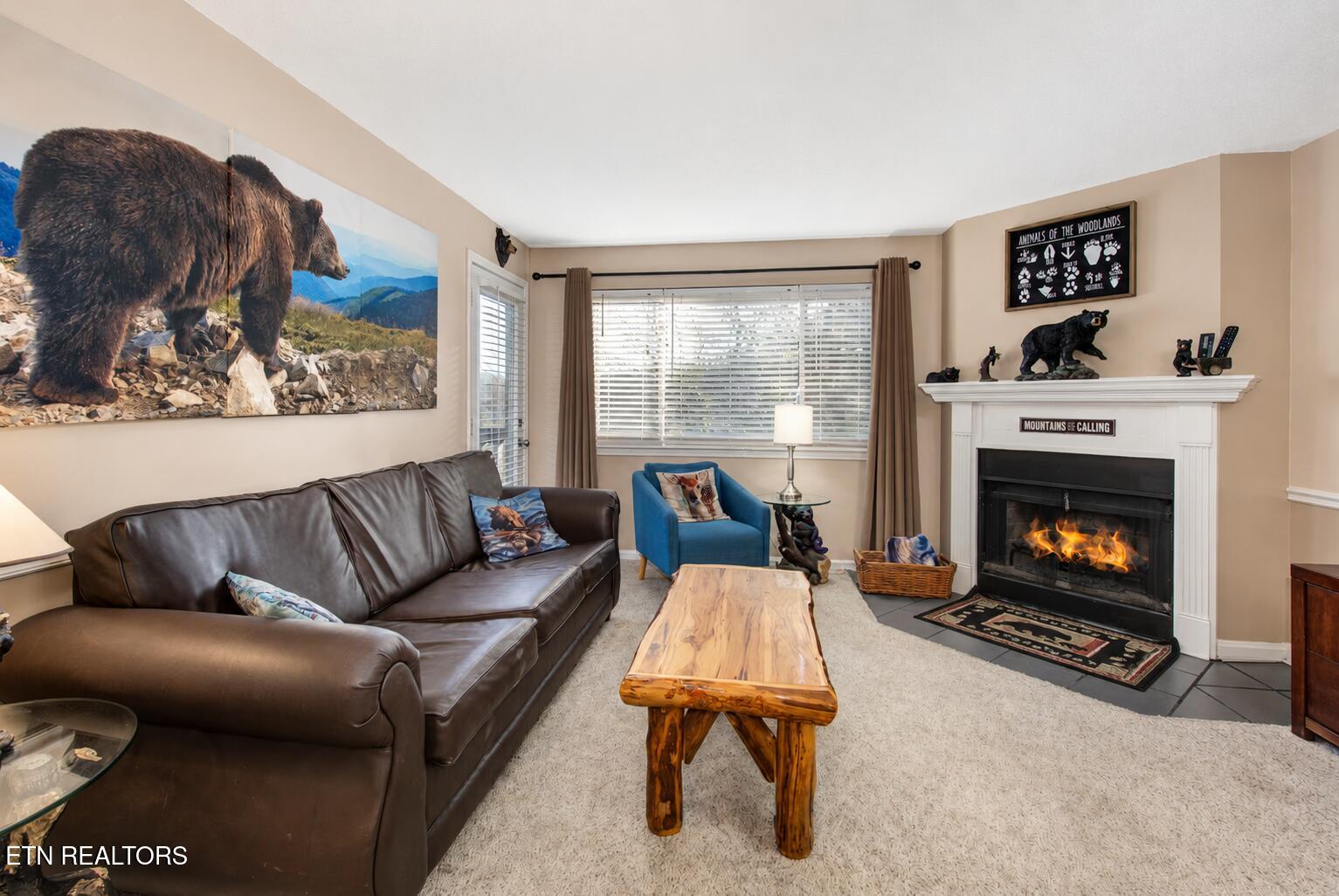 1380 Ski View Drive Gatlinburg TN 37738